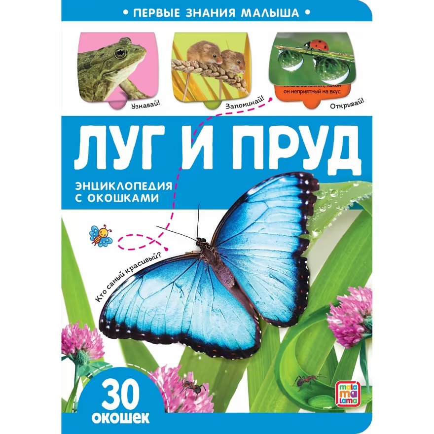 

Первые знания малыша с окошками. Луг и пруд