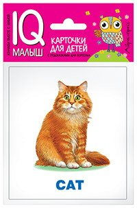 

English. Домашние питомцы. Набор карточек для детей