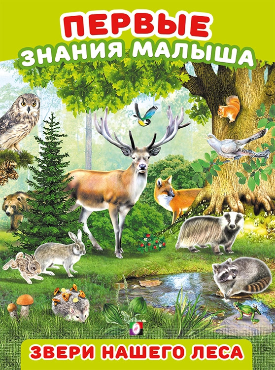

Звери нашего леса