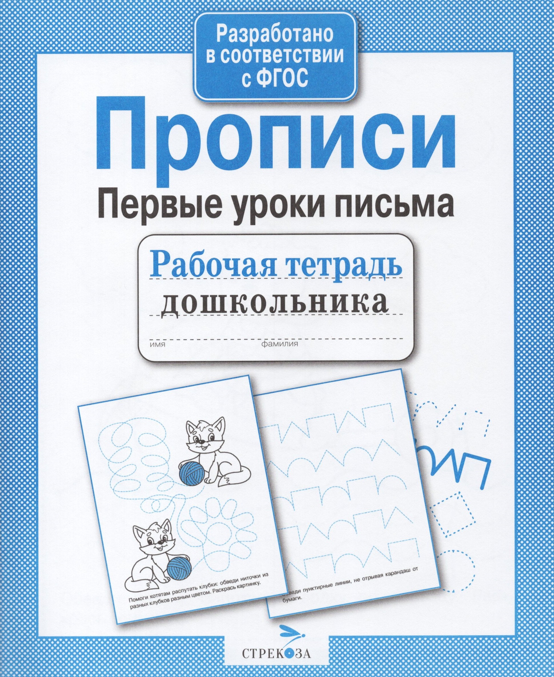 

Прописи. Первые уроки письма
