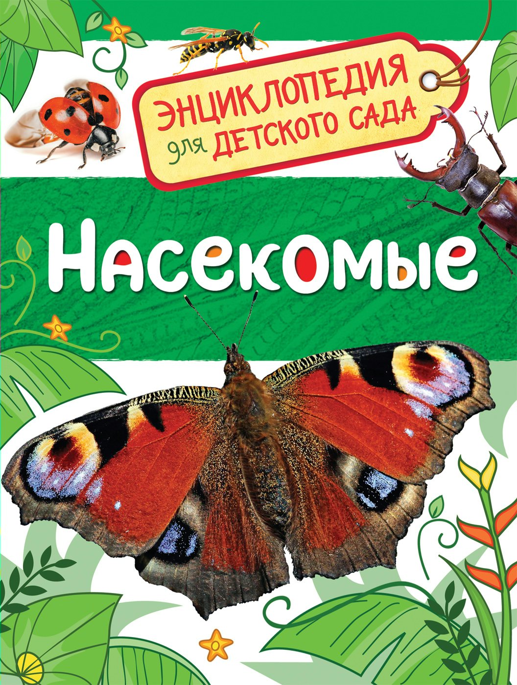 

Насекомые