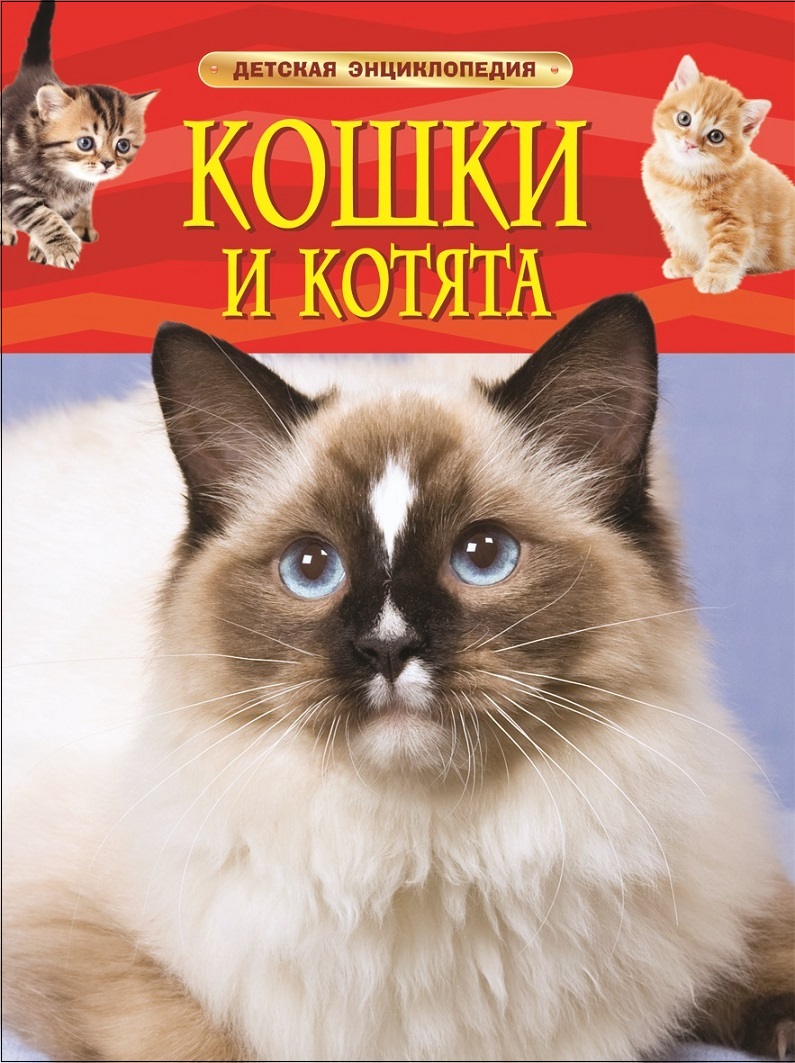 

Кошки и котята