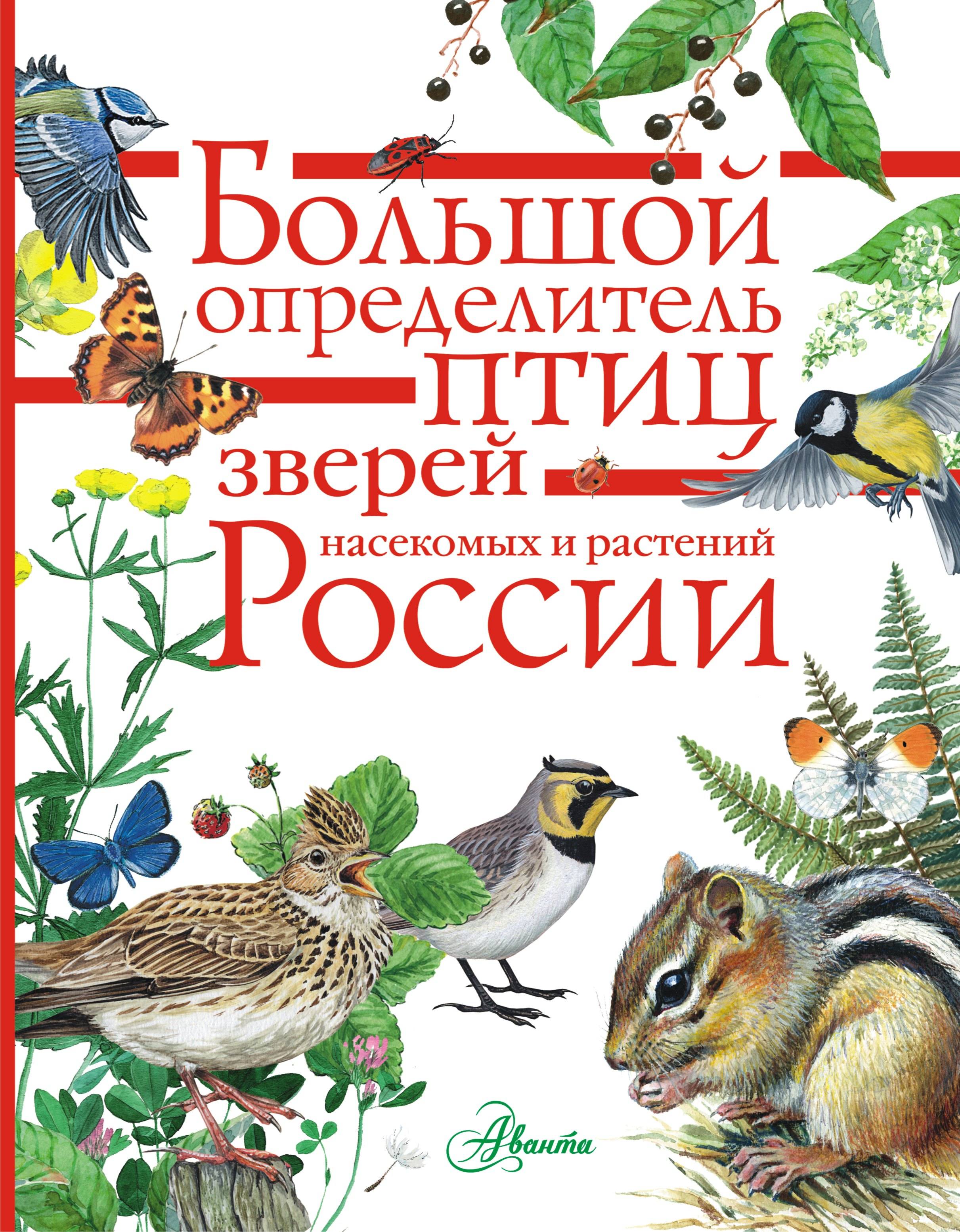 

Большой определитель птиц, зверей, насекомых и растений России