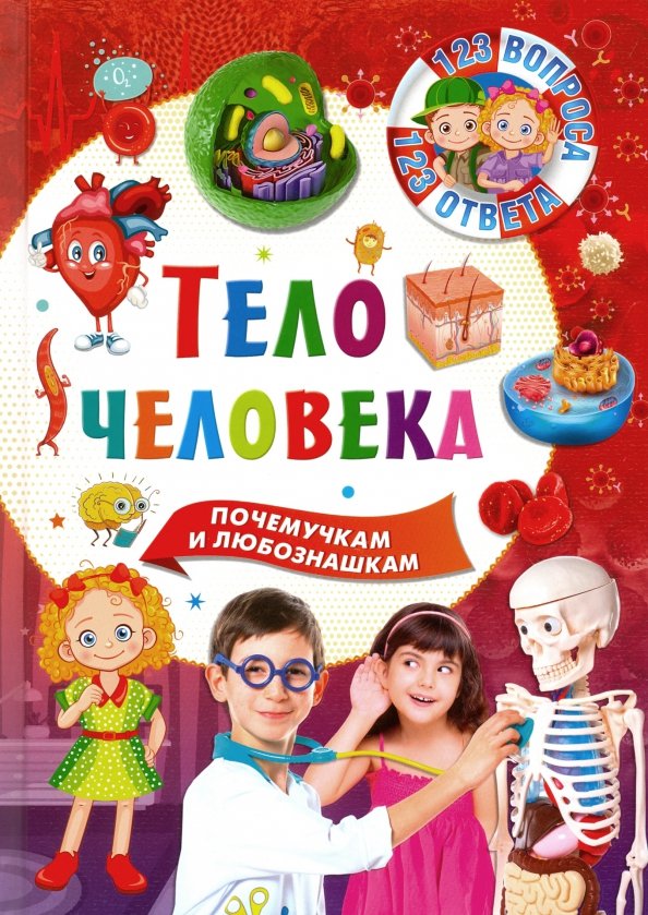 

Тело человека