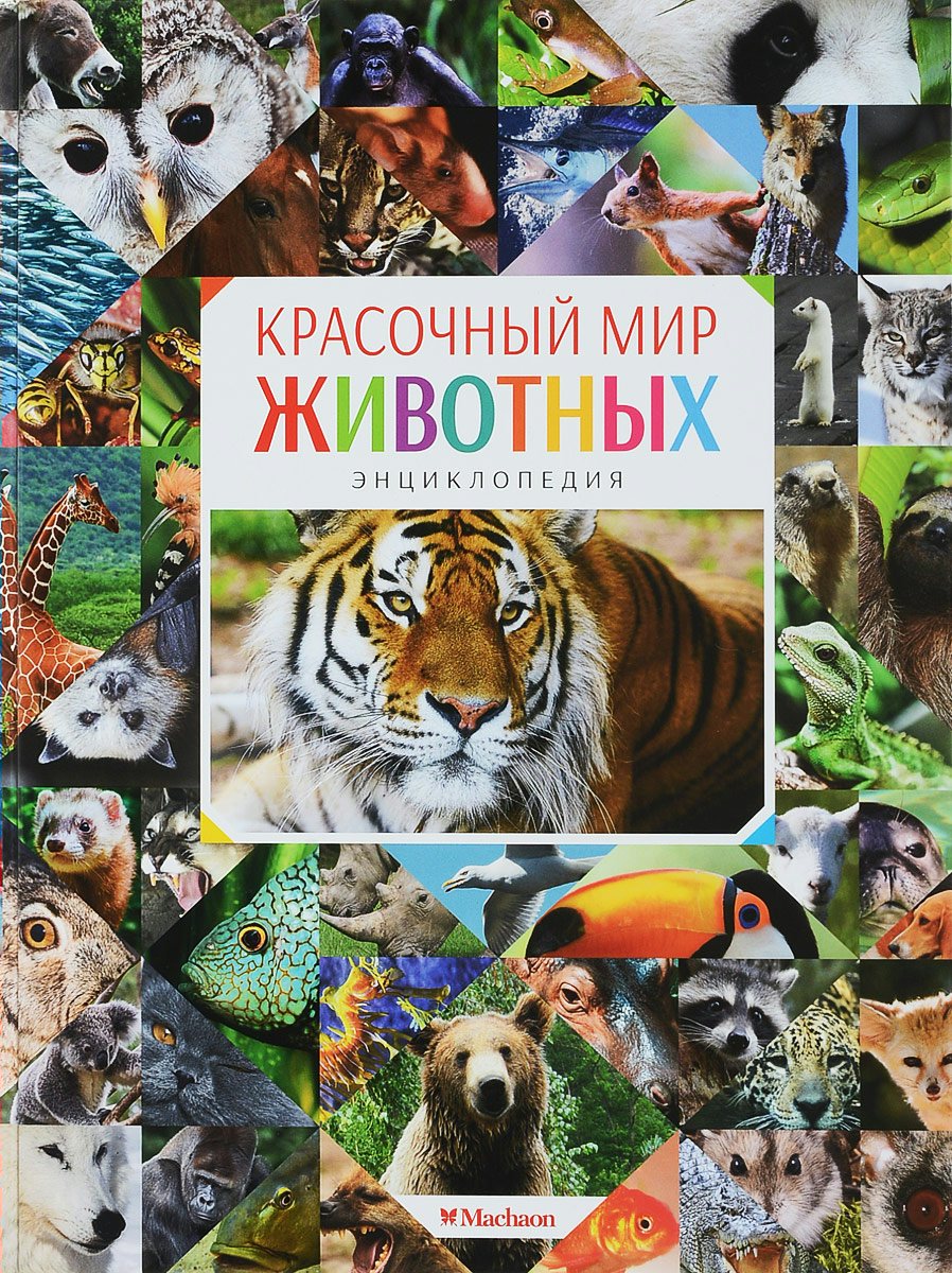 

Красочный мир животных: Энциклопедия