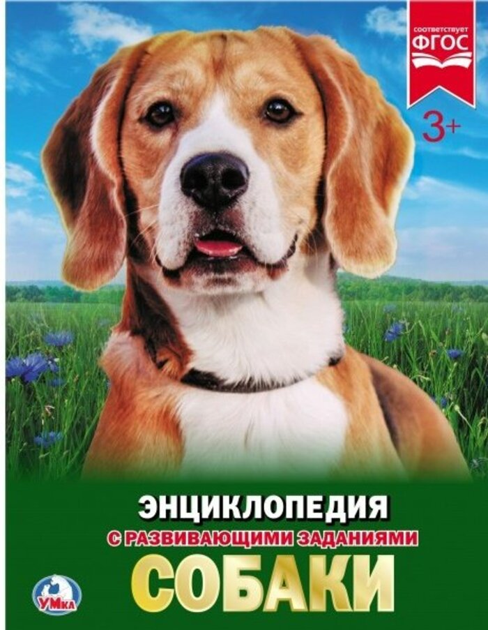 

Собаки