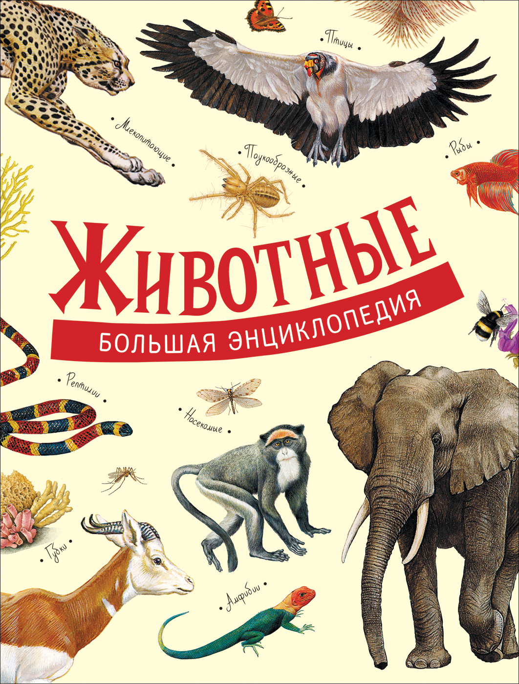 

Животные