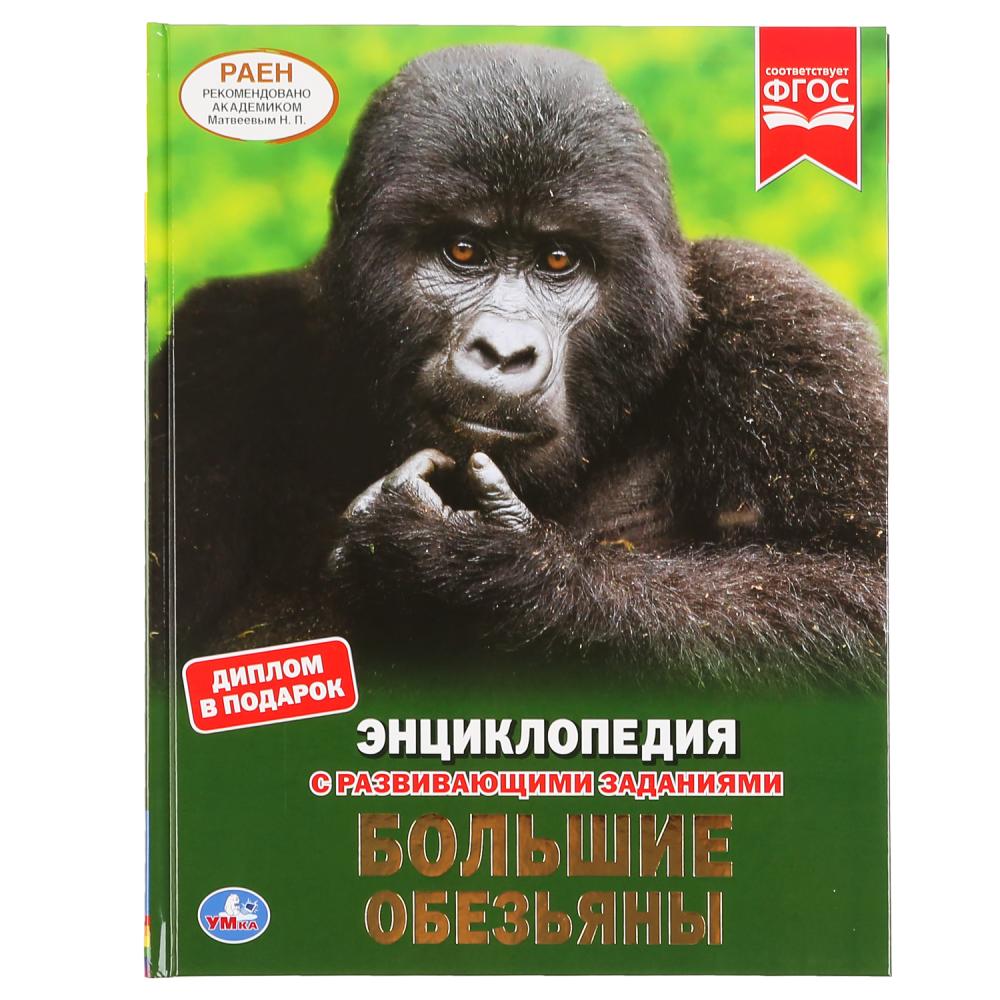 

Энциклопедия с развивающими заданиями. Большие обезьяны