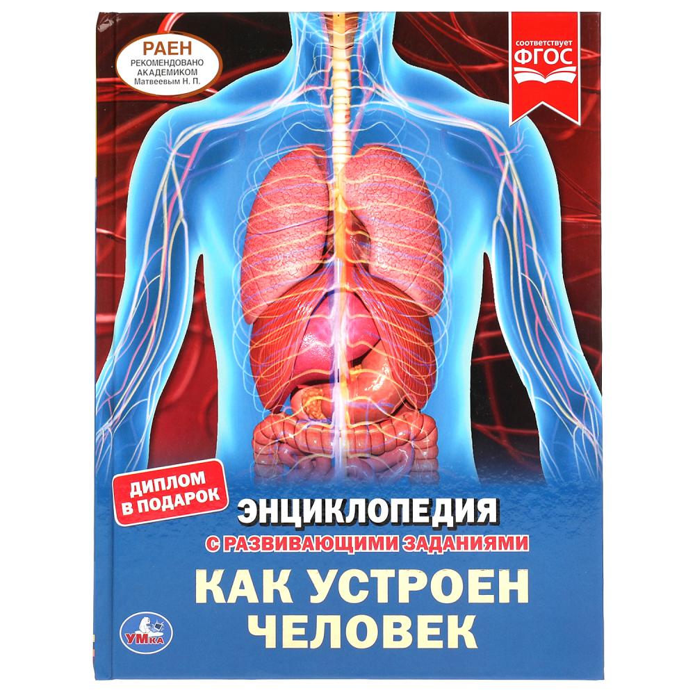 

Энциклопедия с развивающими заданиями. Как устроен человек