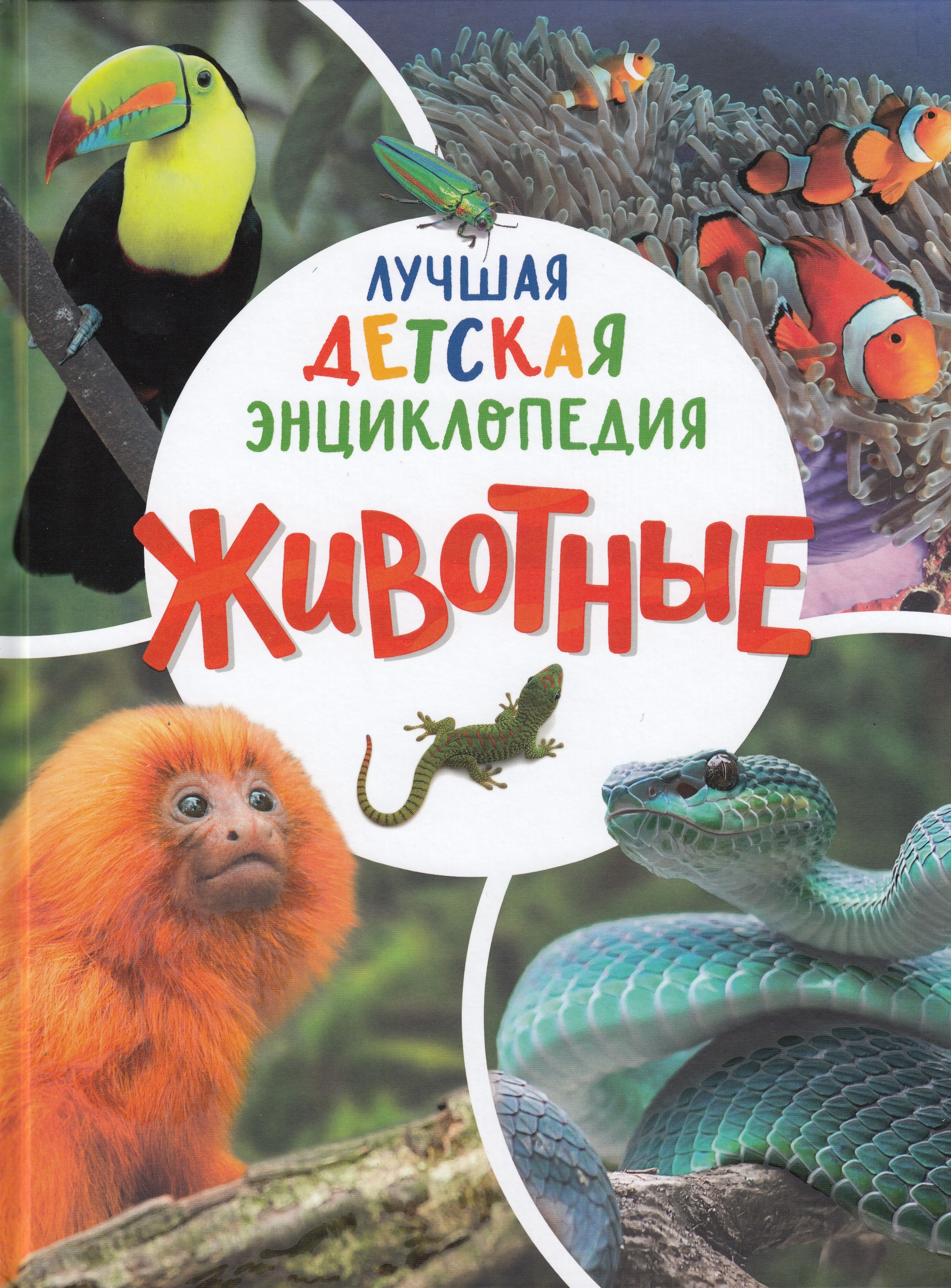 

Животные