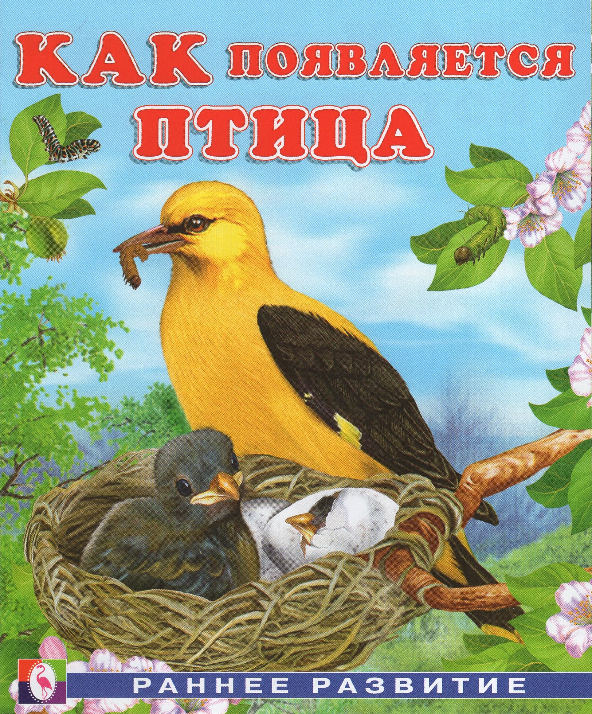 

Как появляется птица