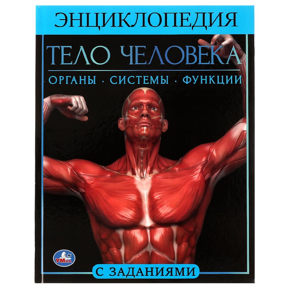 

Тело человека