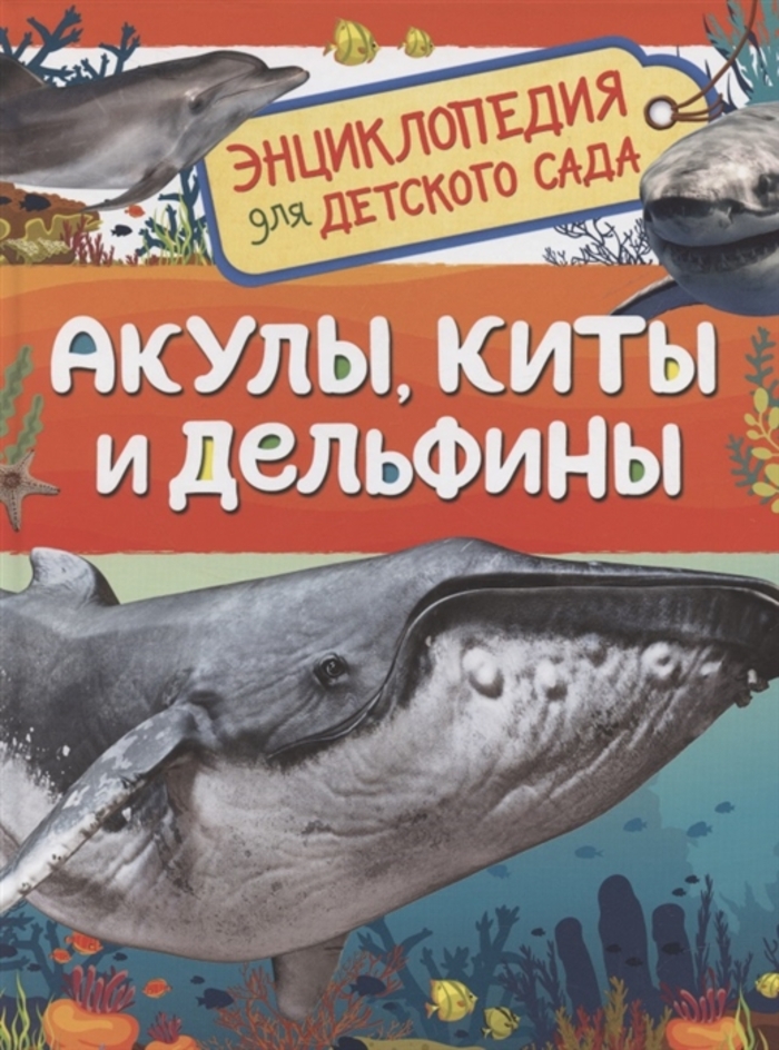 

Акулы, киты и дельфины