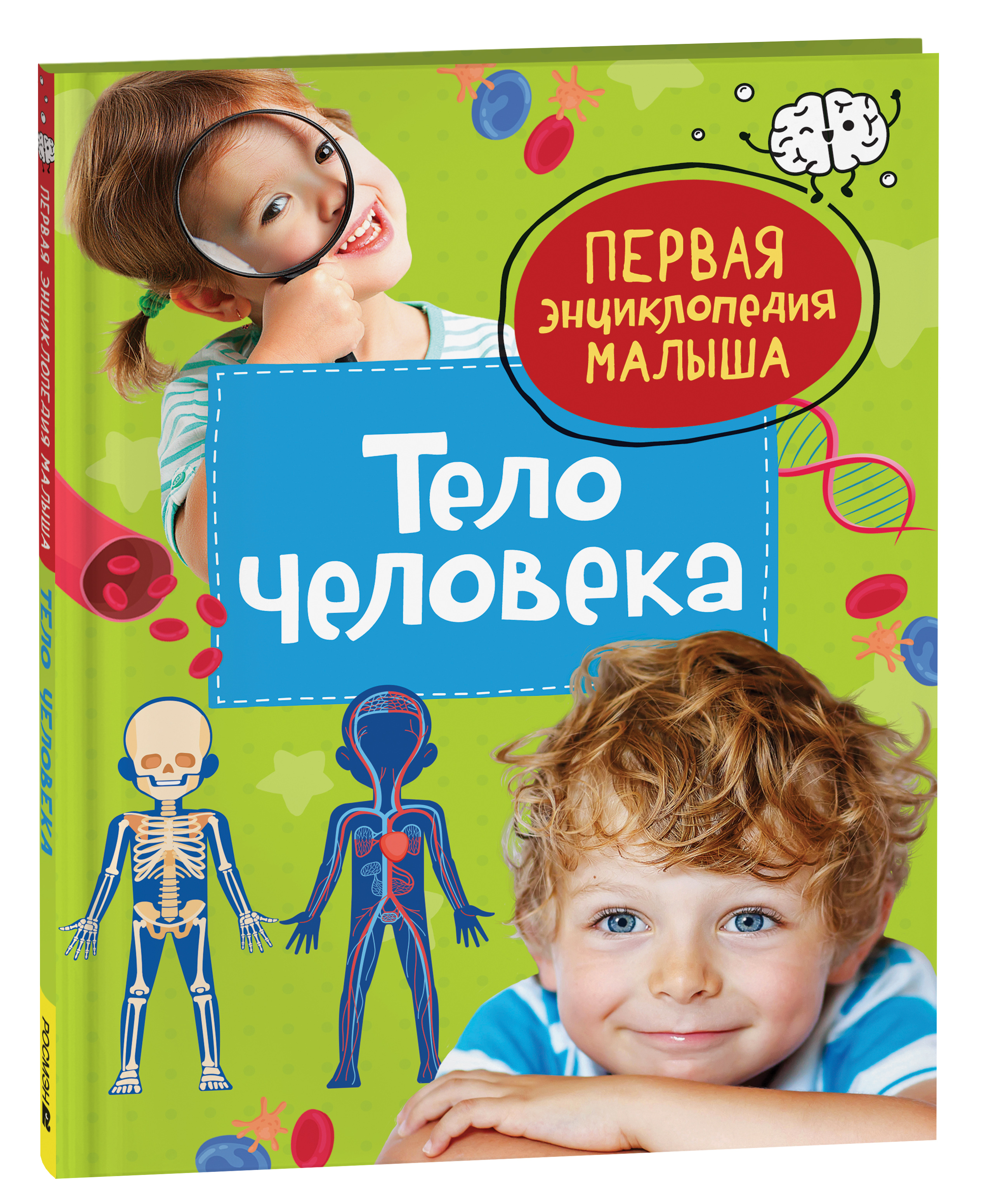 

Тело человека