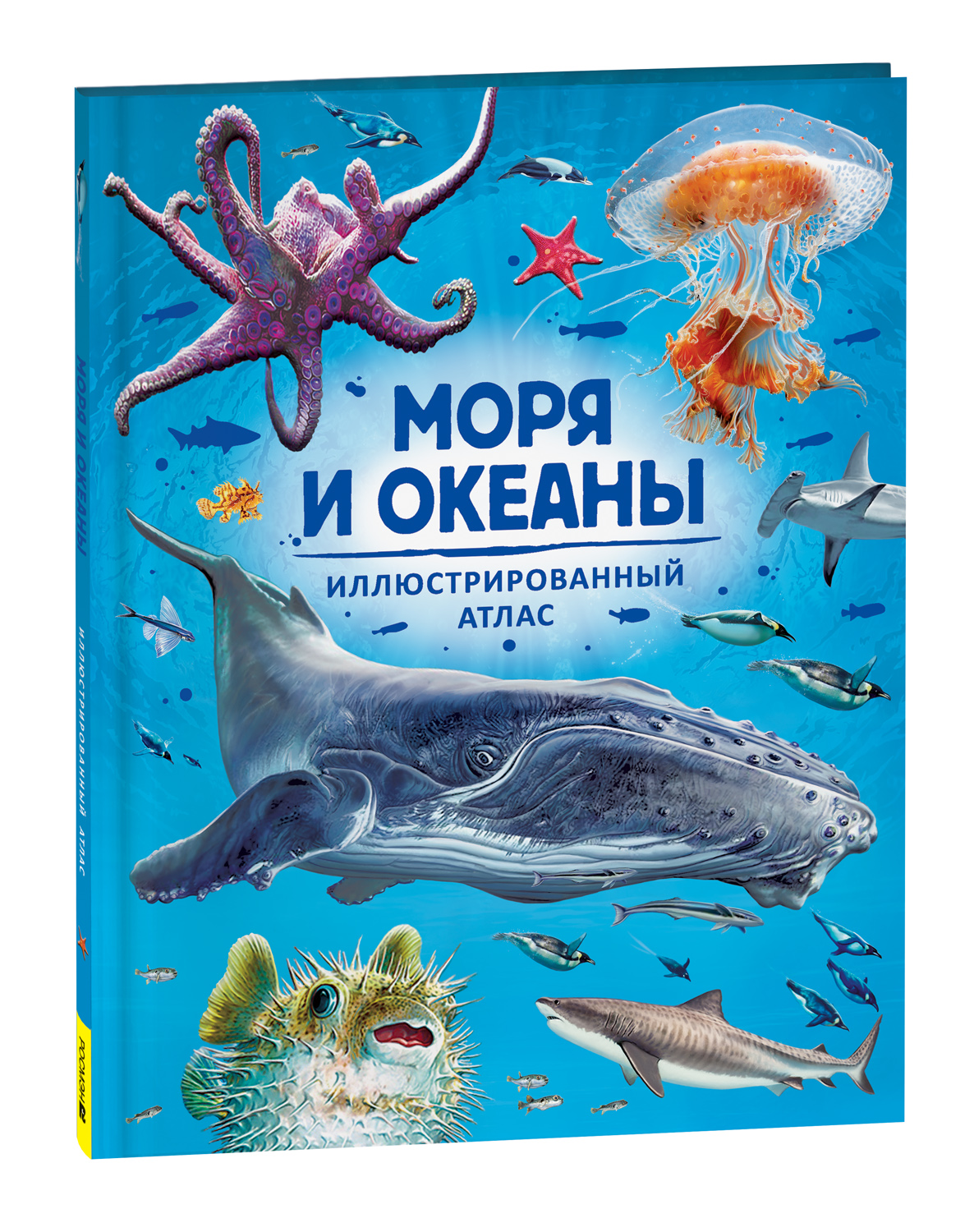 

Моря и океаны. Иллюстрированный атлас