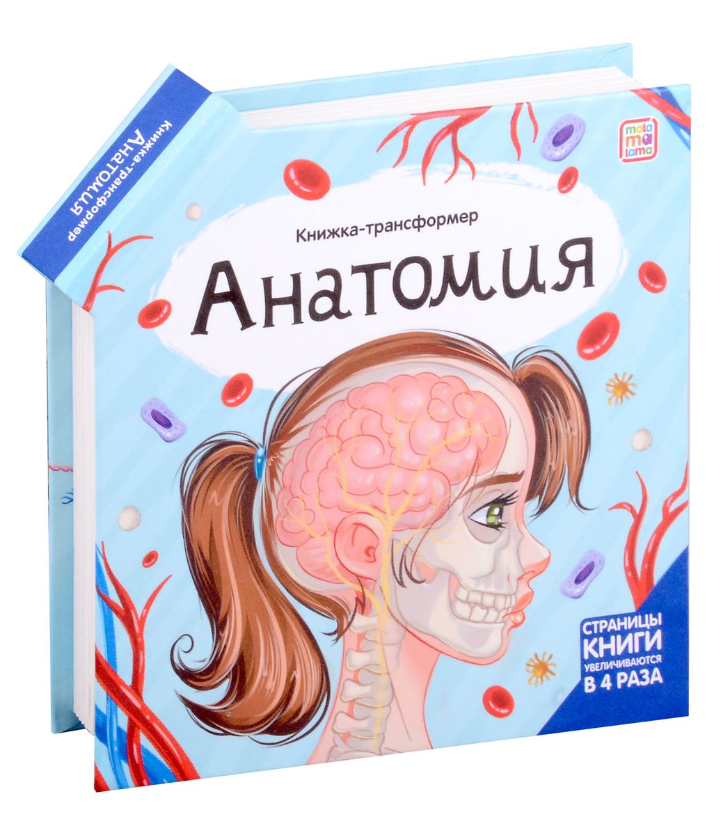 

Анатомия. Книжка-трансформер