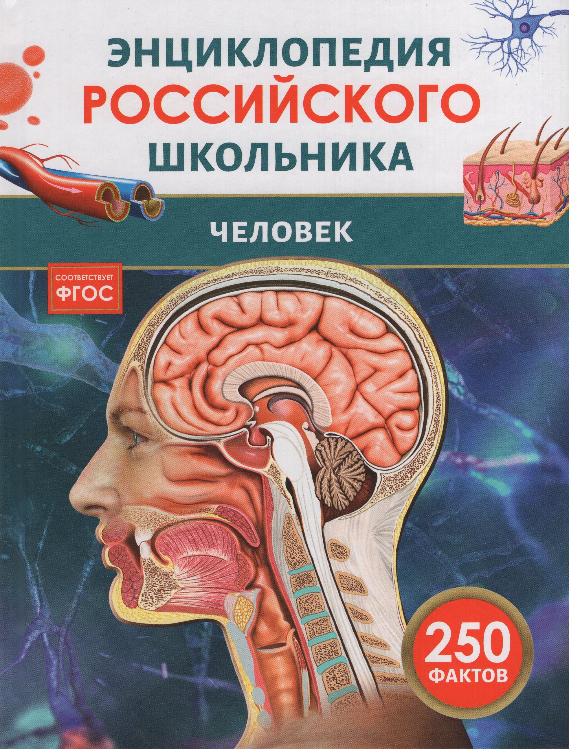 

Человек