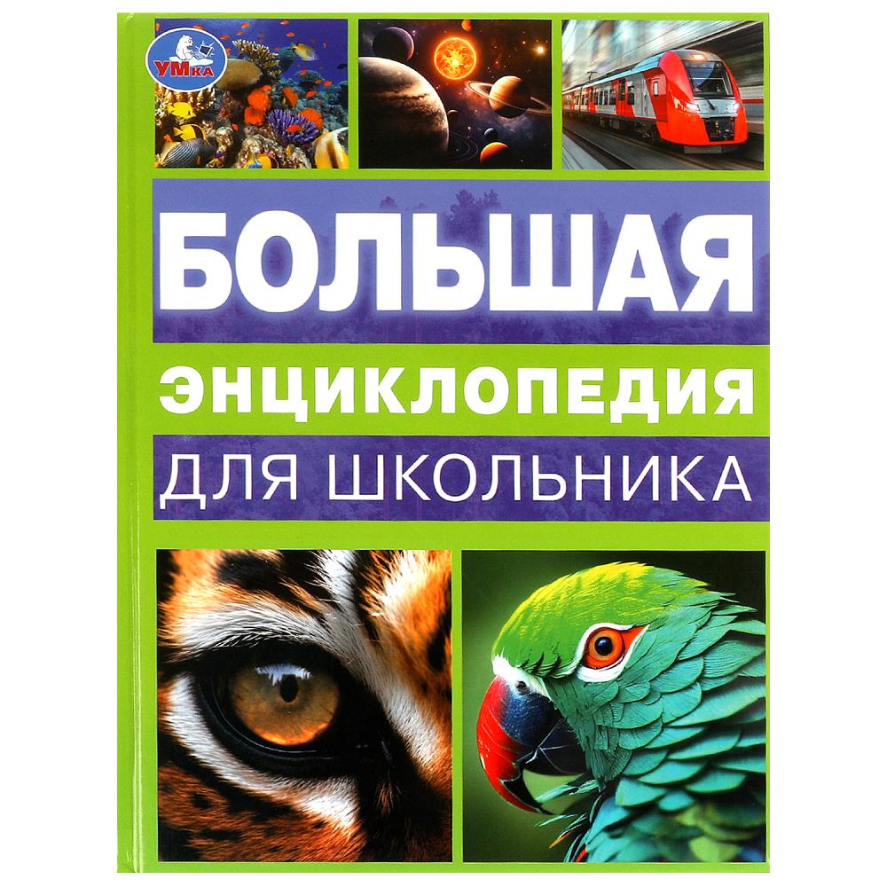 

Большая энциклопедия для школьника