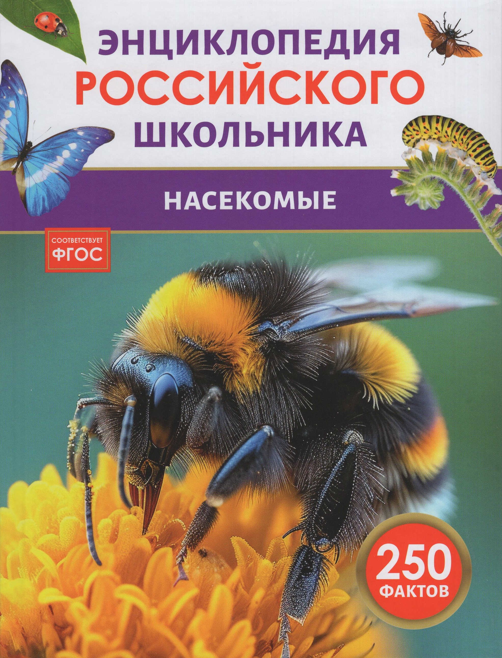 

Насекомые