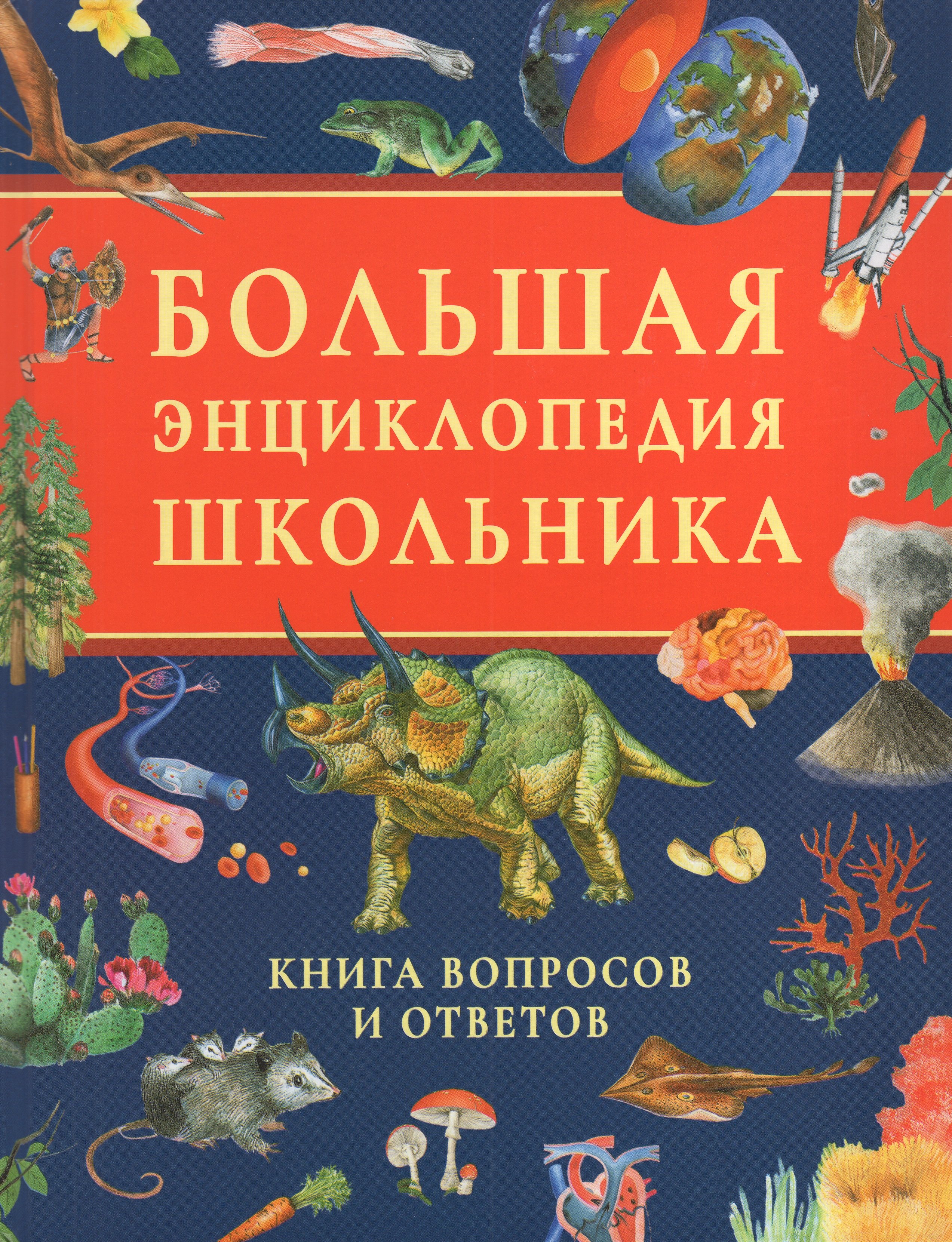 

Большая энциклопедия школьника. Книга вопросов и ответов