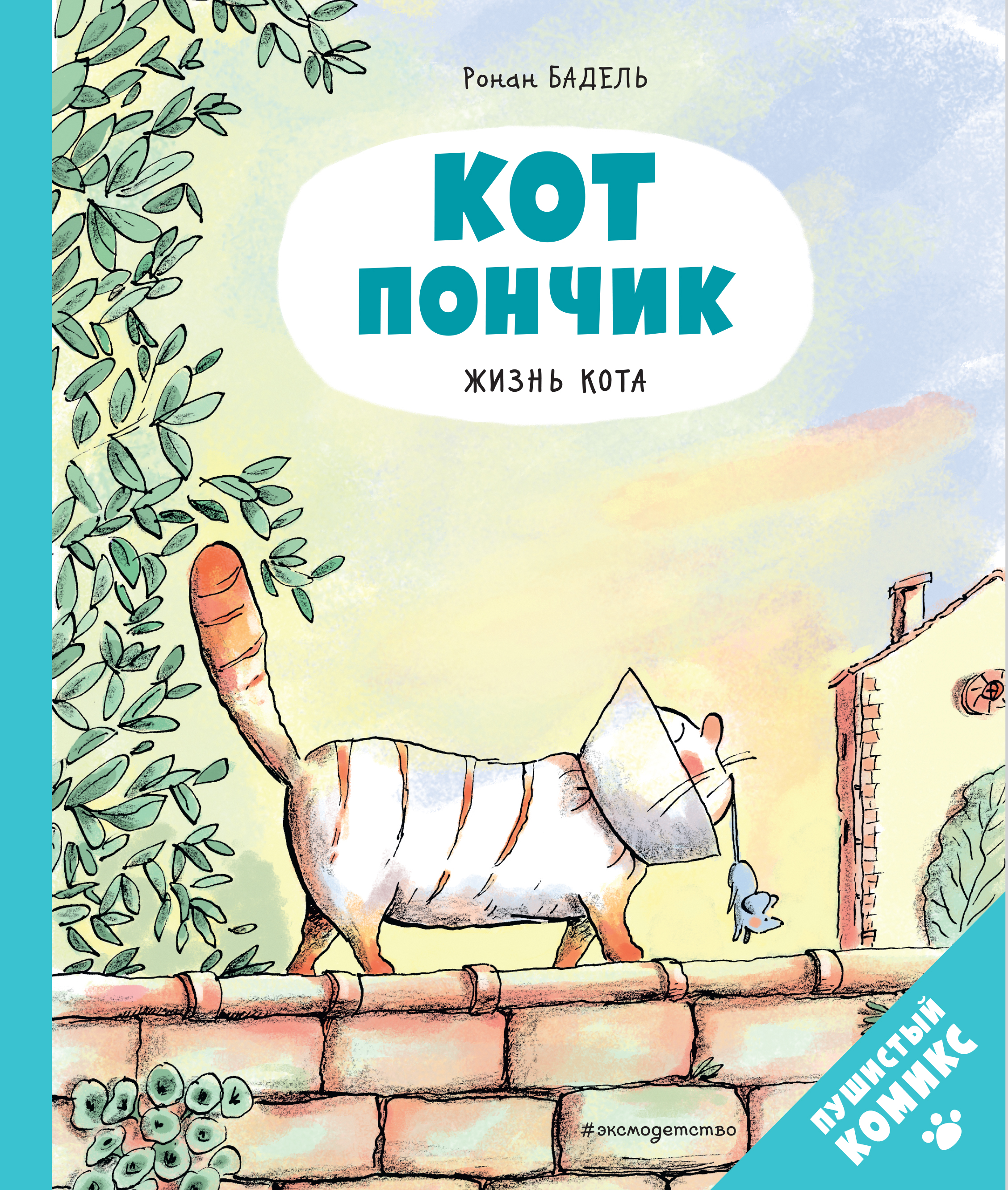 

Кот Пончик. Жизнь кота