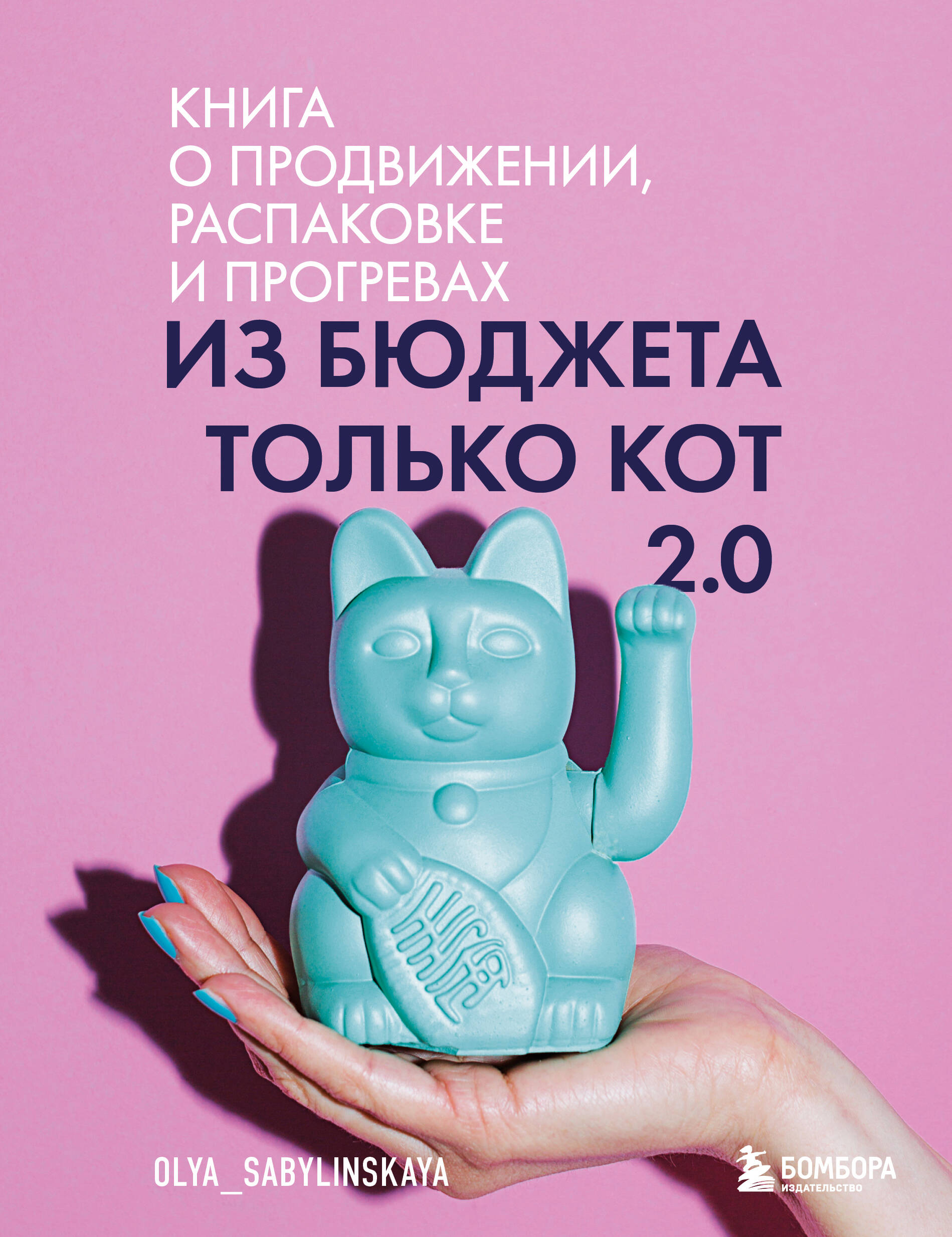 

Из бюджета только кот 2.0