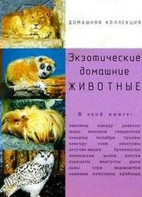 

Экзотические домашние животные