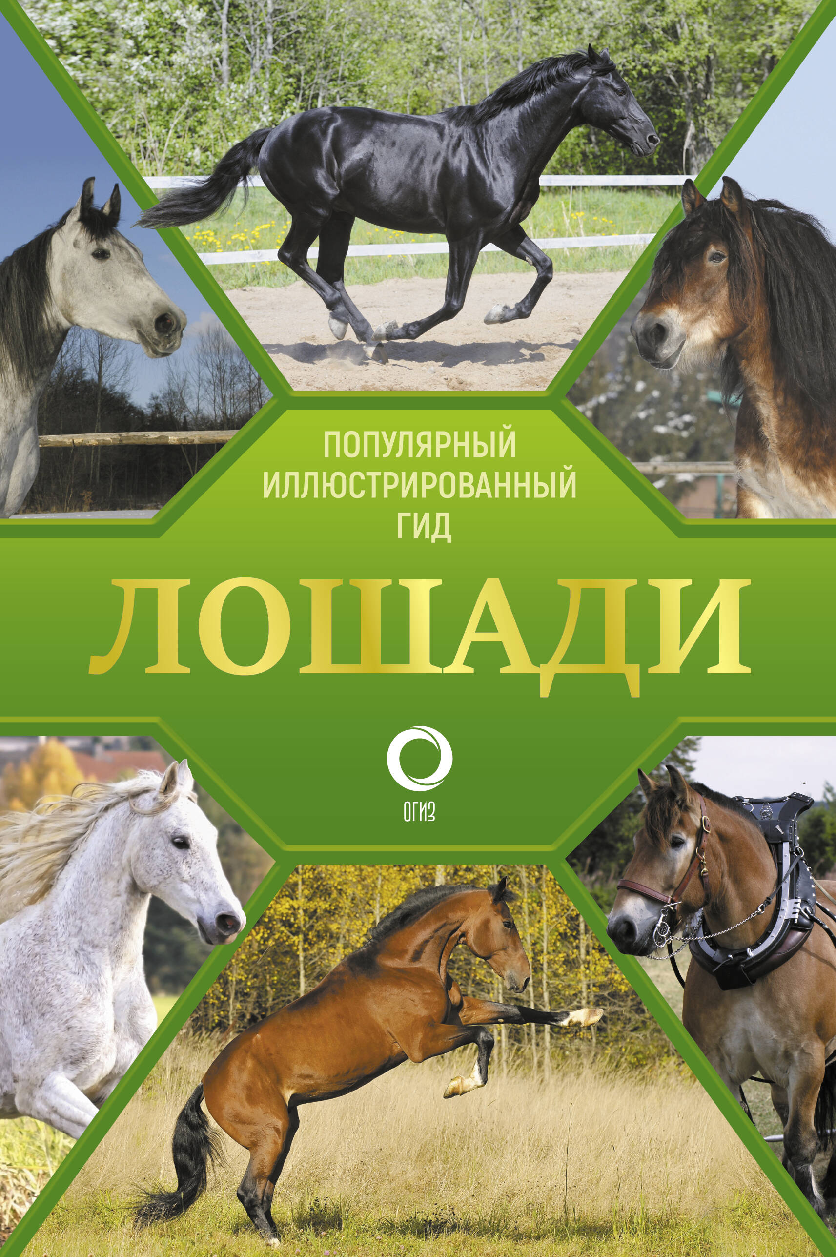 

Лошади. Иллюстрированный гид