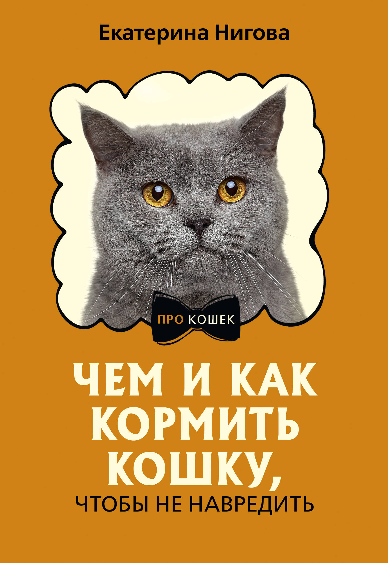 

Чем и как кормить кошку, чтобы не навредить