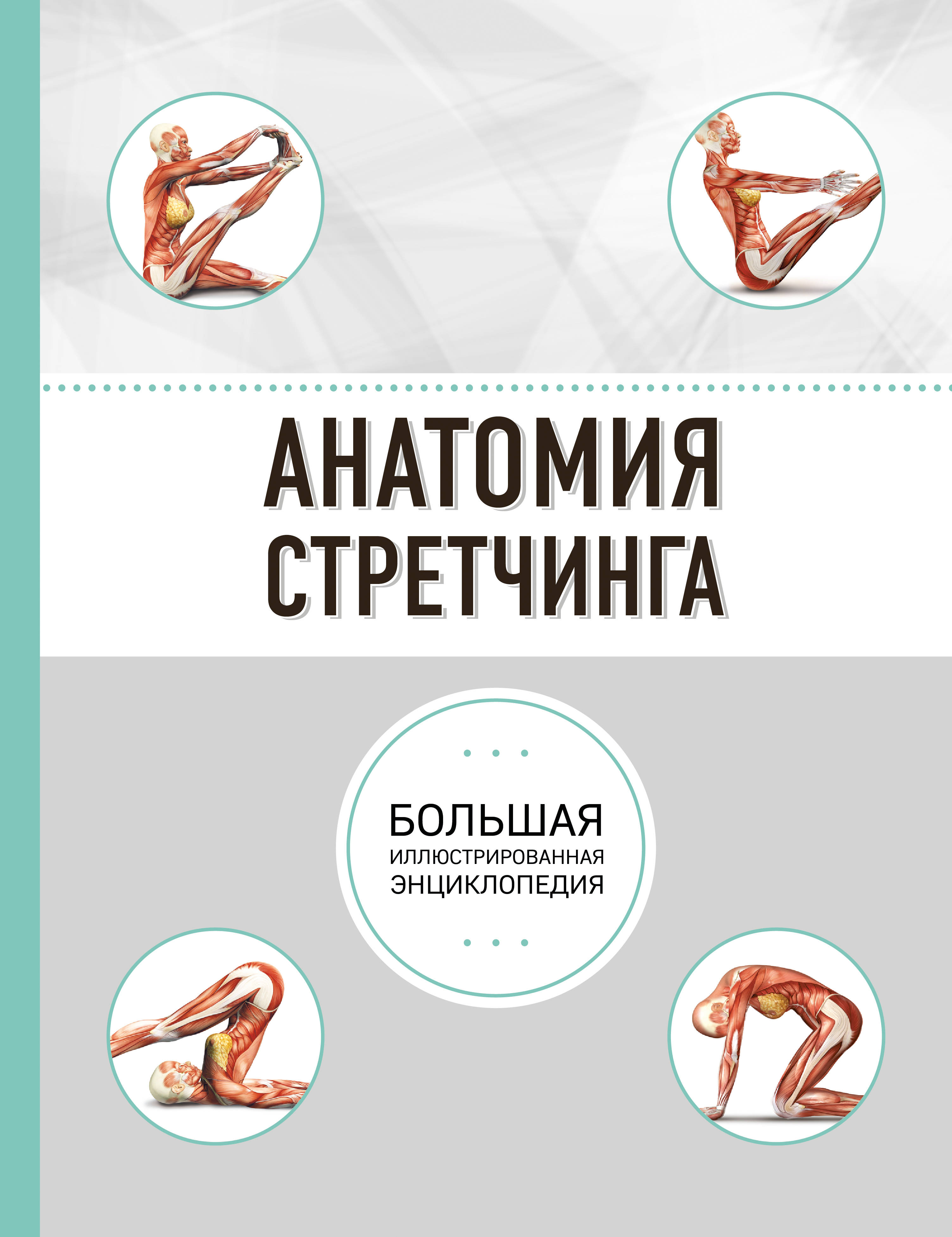 

Анатомия стретчинга. Большая иллюстрированная энциклопедия