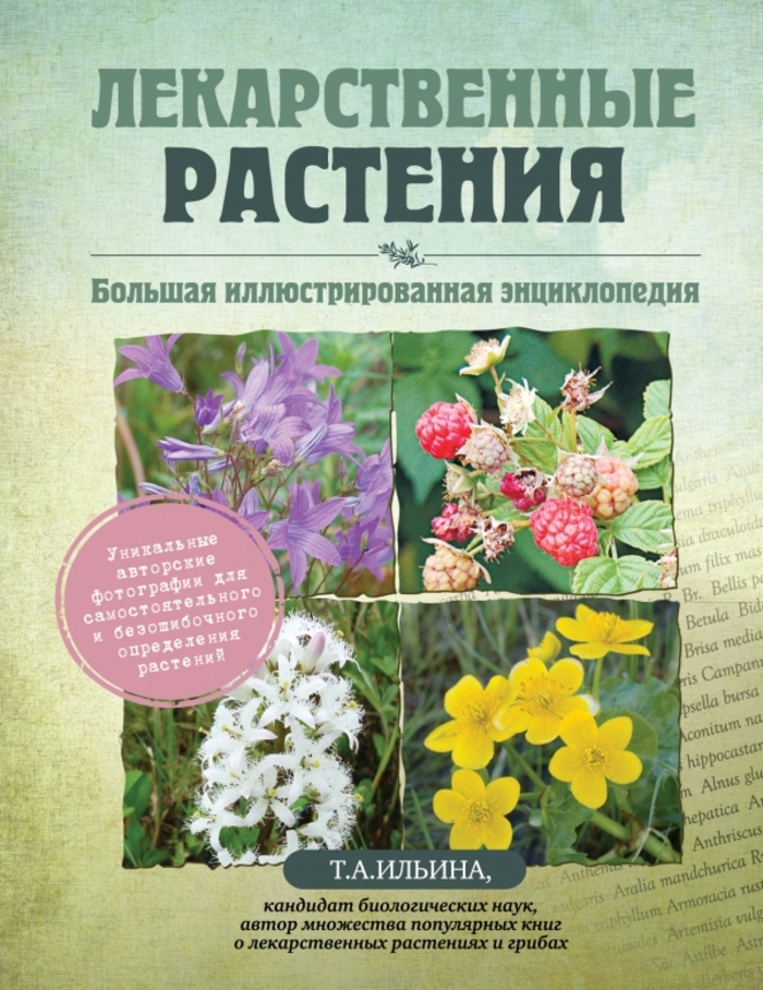 

Лекарственные растения. Большая иллюстрированная энциклопедия