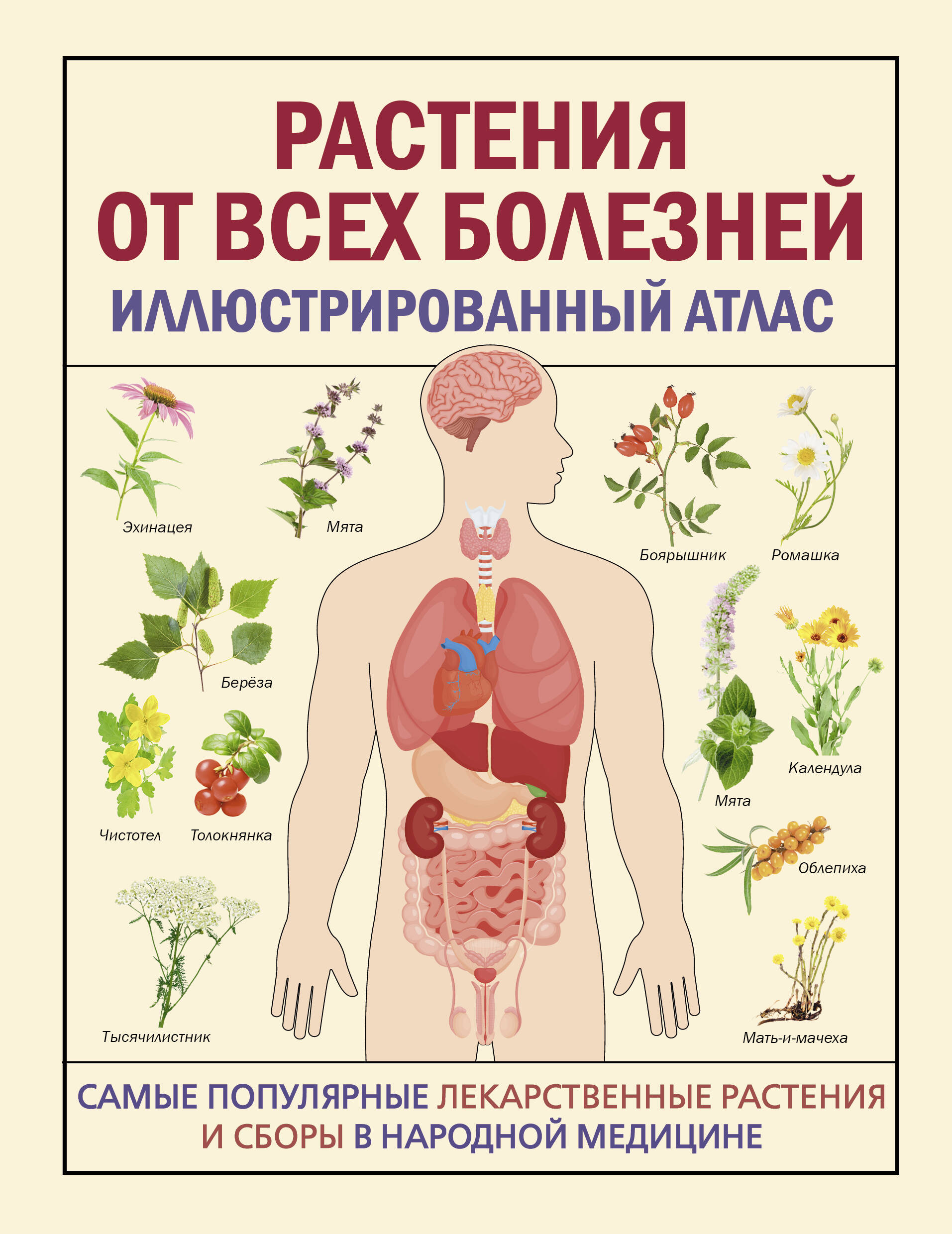 

Растения от всех болезней. Иллюстрированный атлас