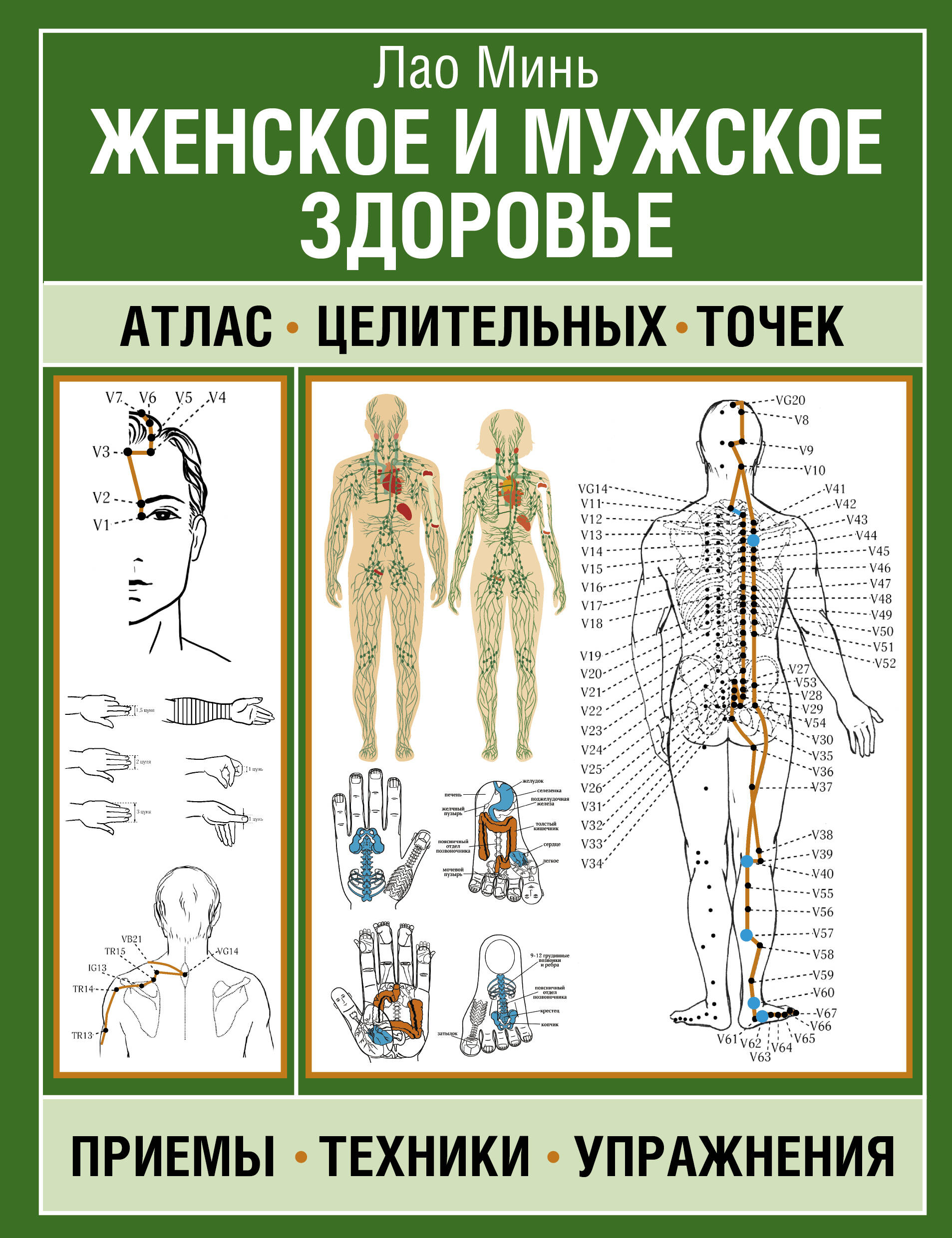 

Женское и мужское здоровье. Атлас целительных точек, приемы, техники