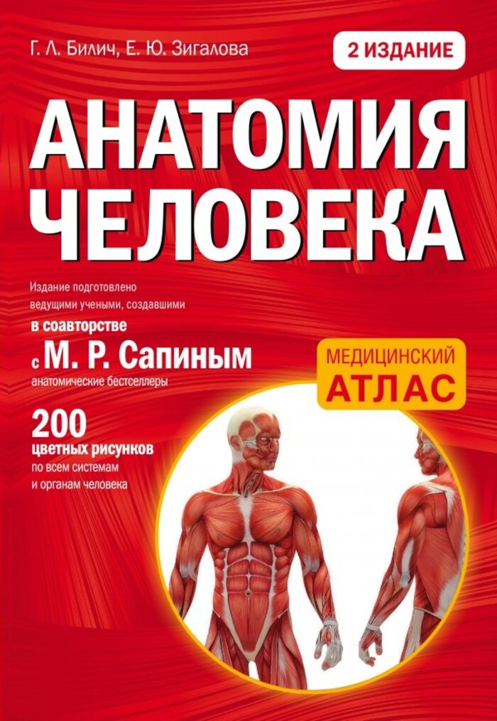 

Анатомия человека
