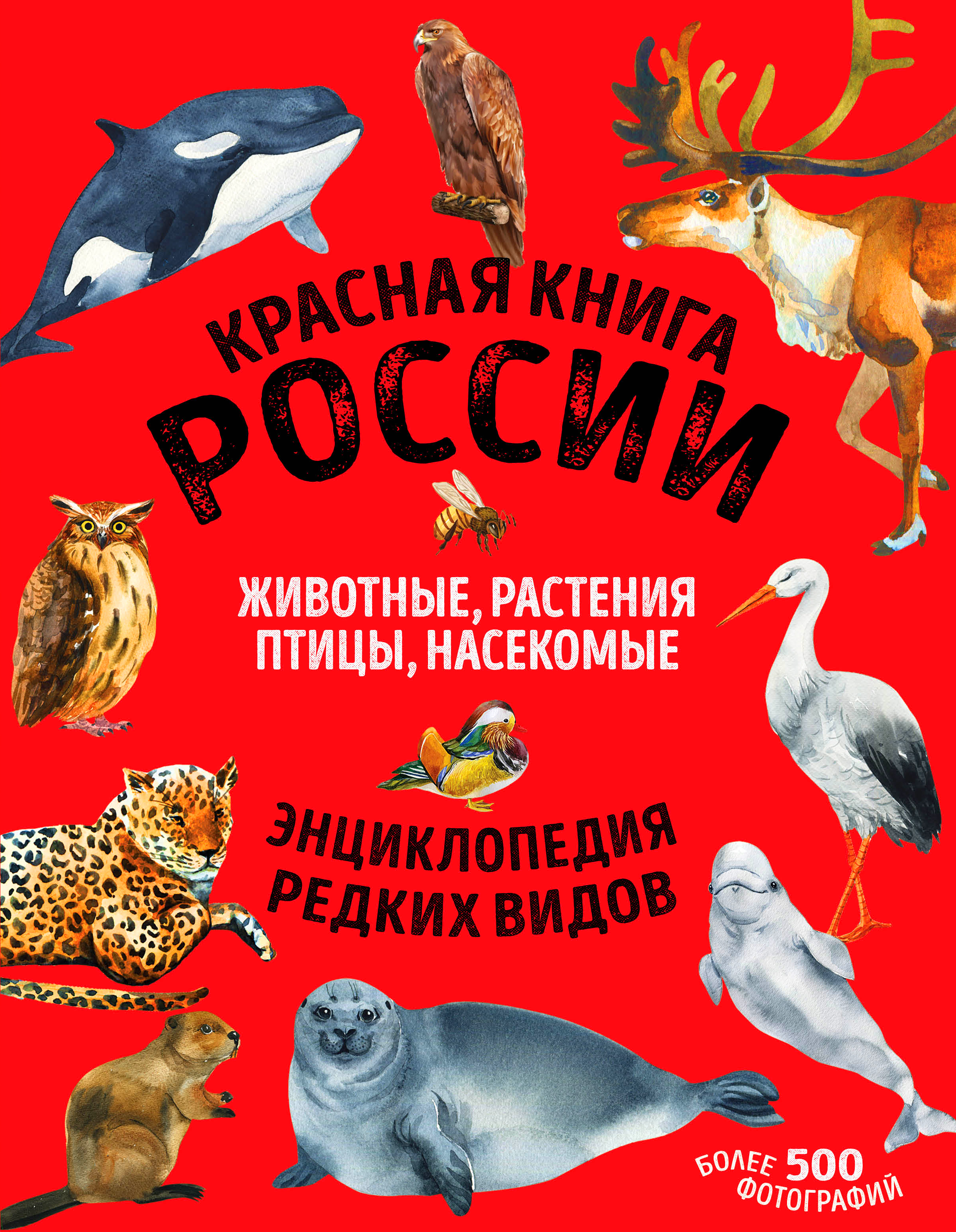 

Красная книга России. Все о жизни дикой природы