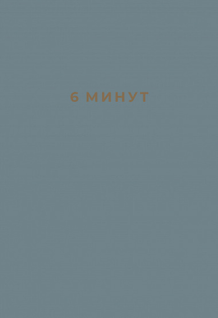 

6 минут. Ежедневник, который изменит вашу жизнь (деним)
