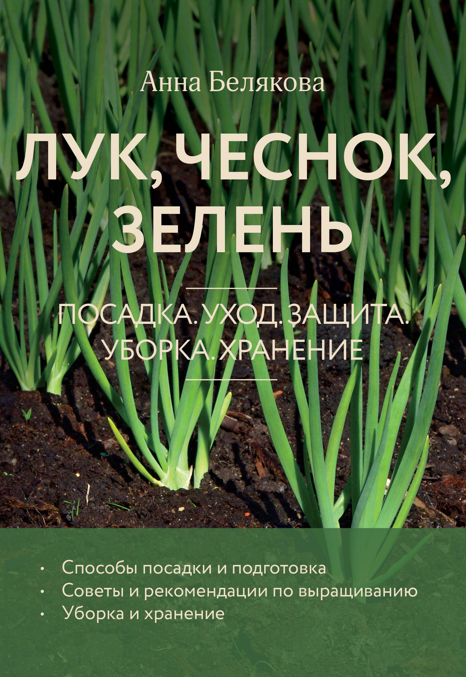 

Лук, чеснок, зелень. Посадка. Уход. Защита. Уборка. Хранение