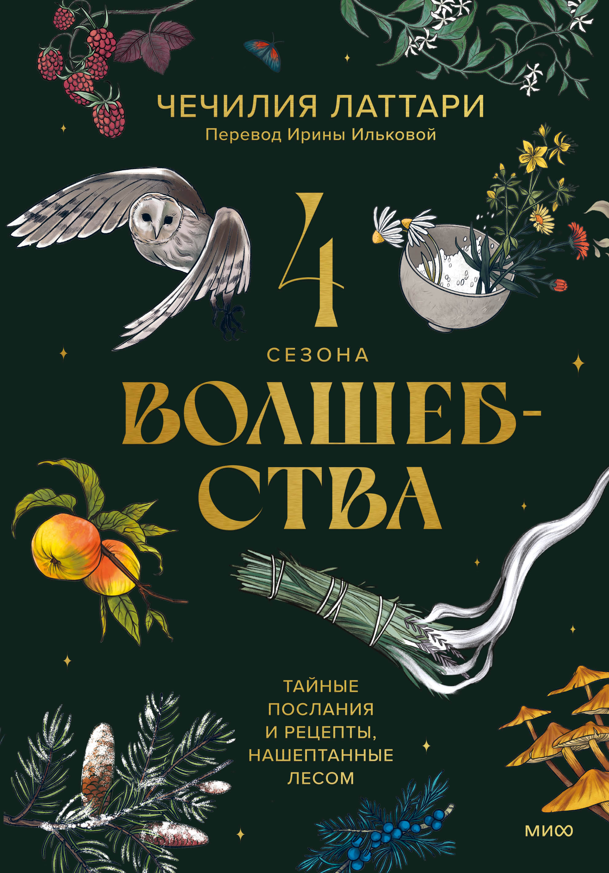 

4 сезона волшебства. Тайные послания и рецепты, нашептанные лесом
