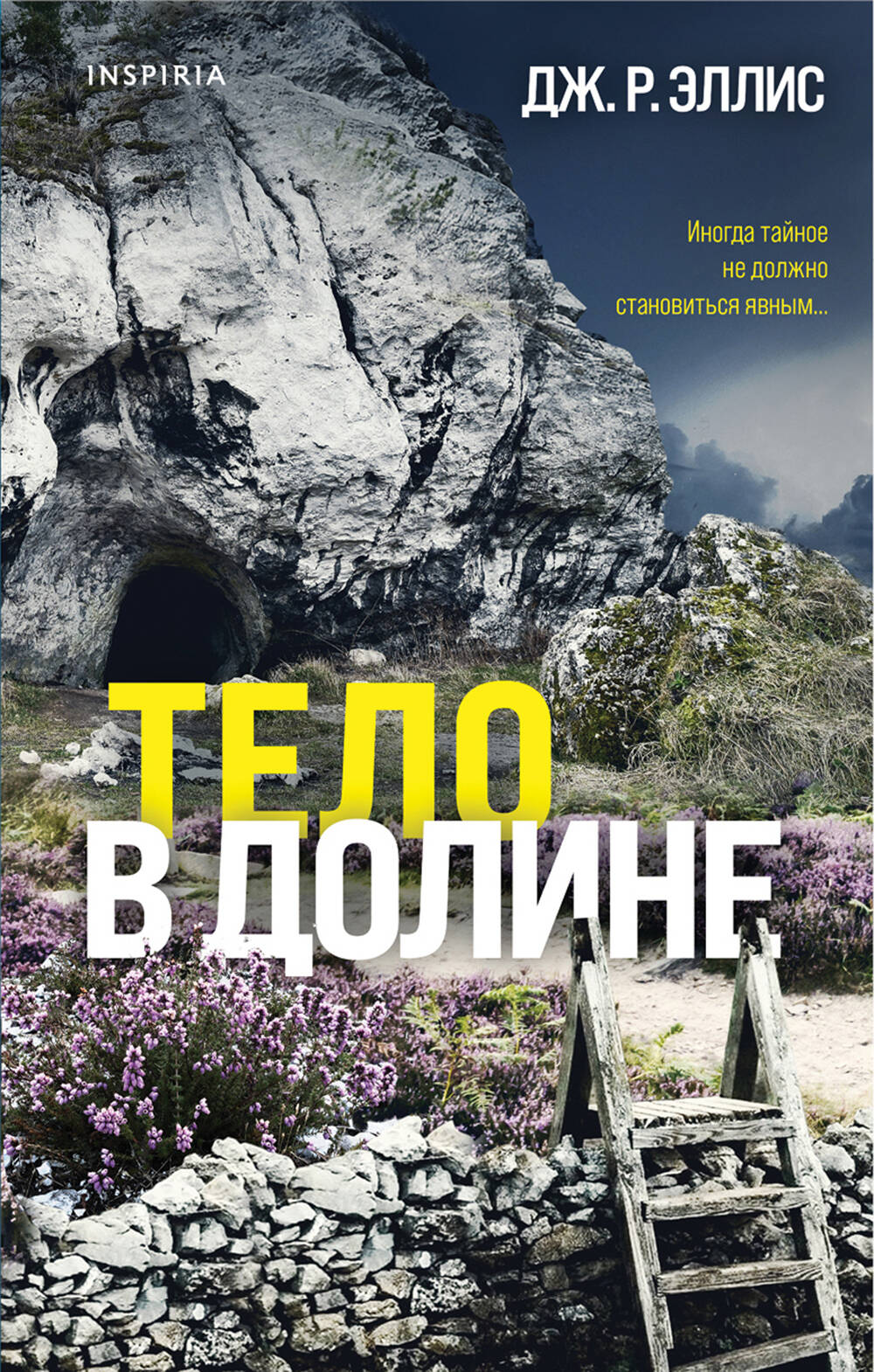 

Тело в долине