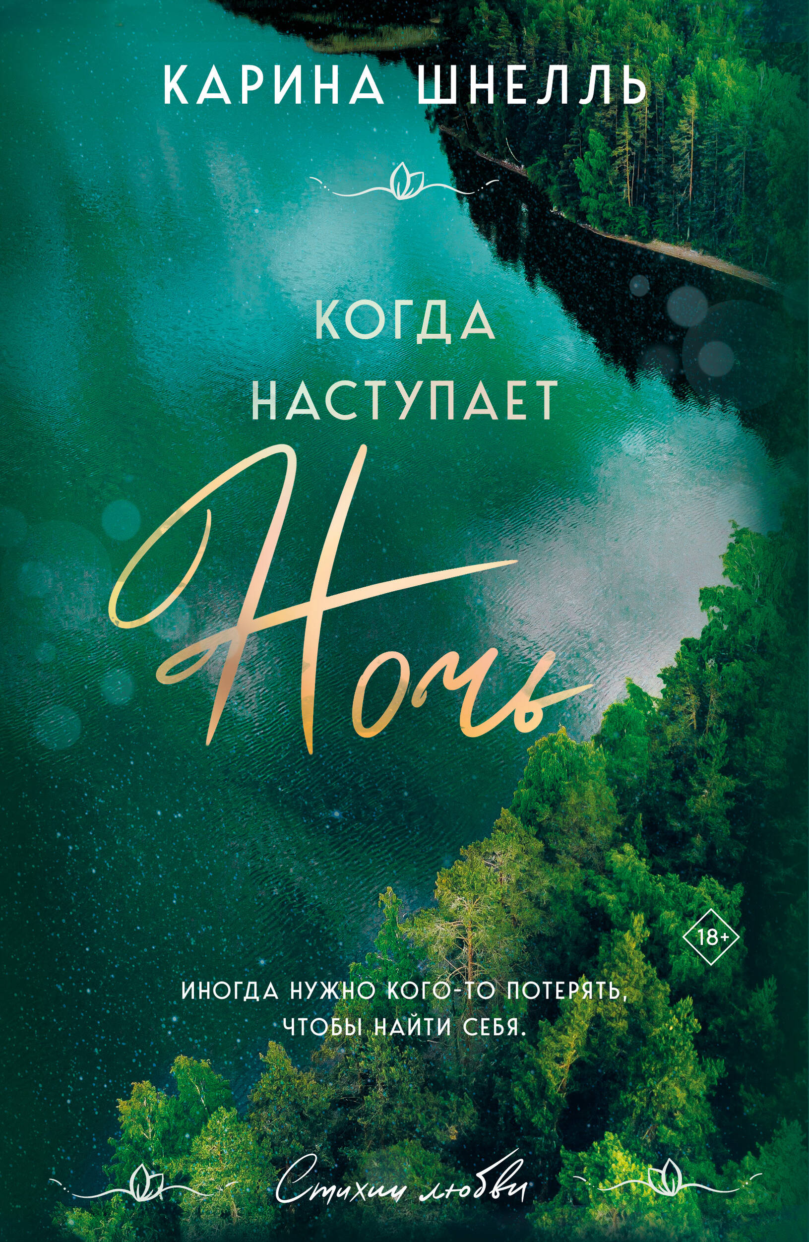 Читать книгу с наступлением ночи. Читать книгу с наступлением ночи