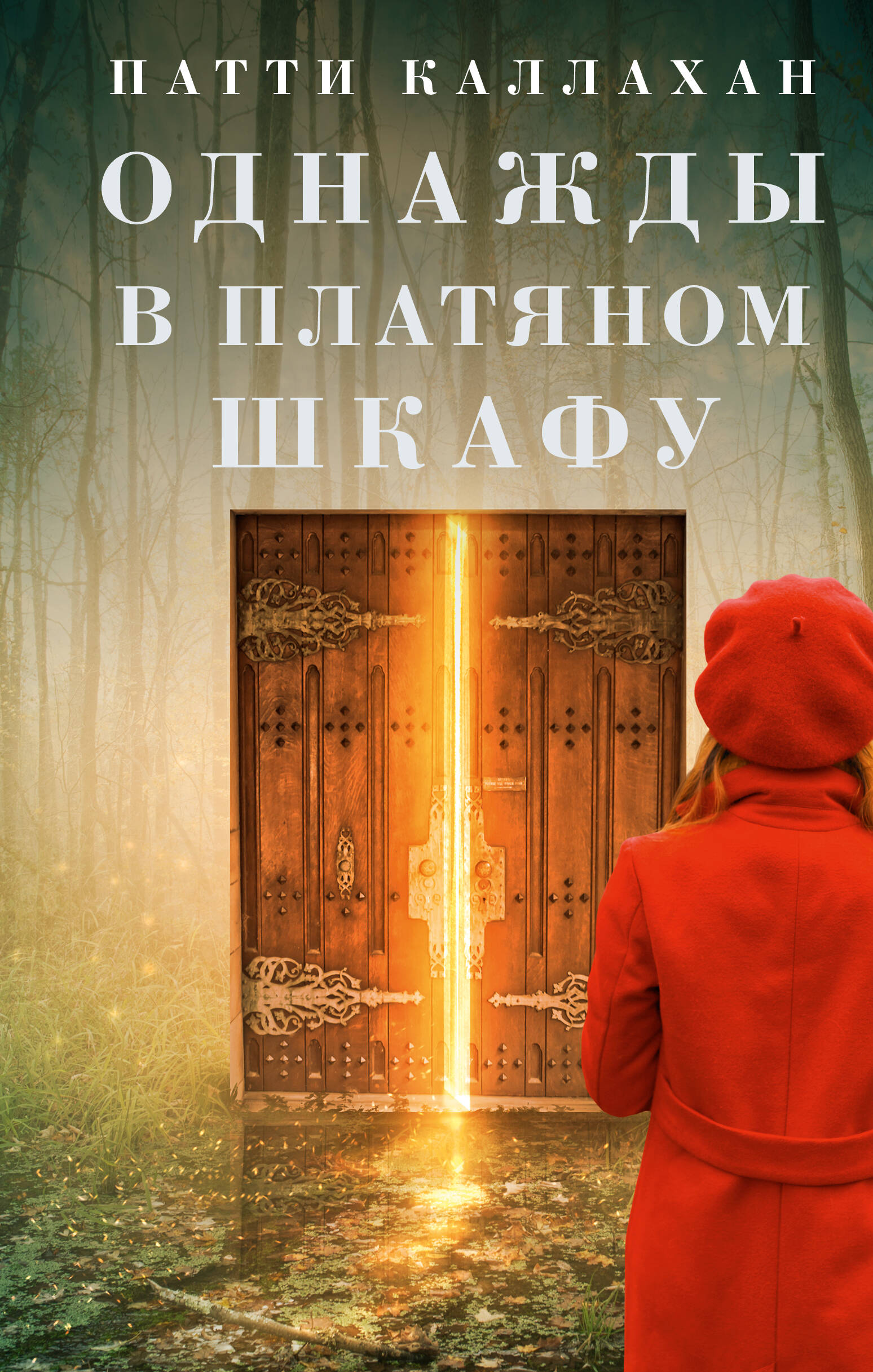

Однажды в платяном шкафу