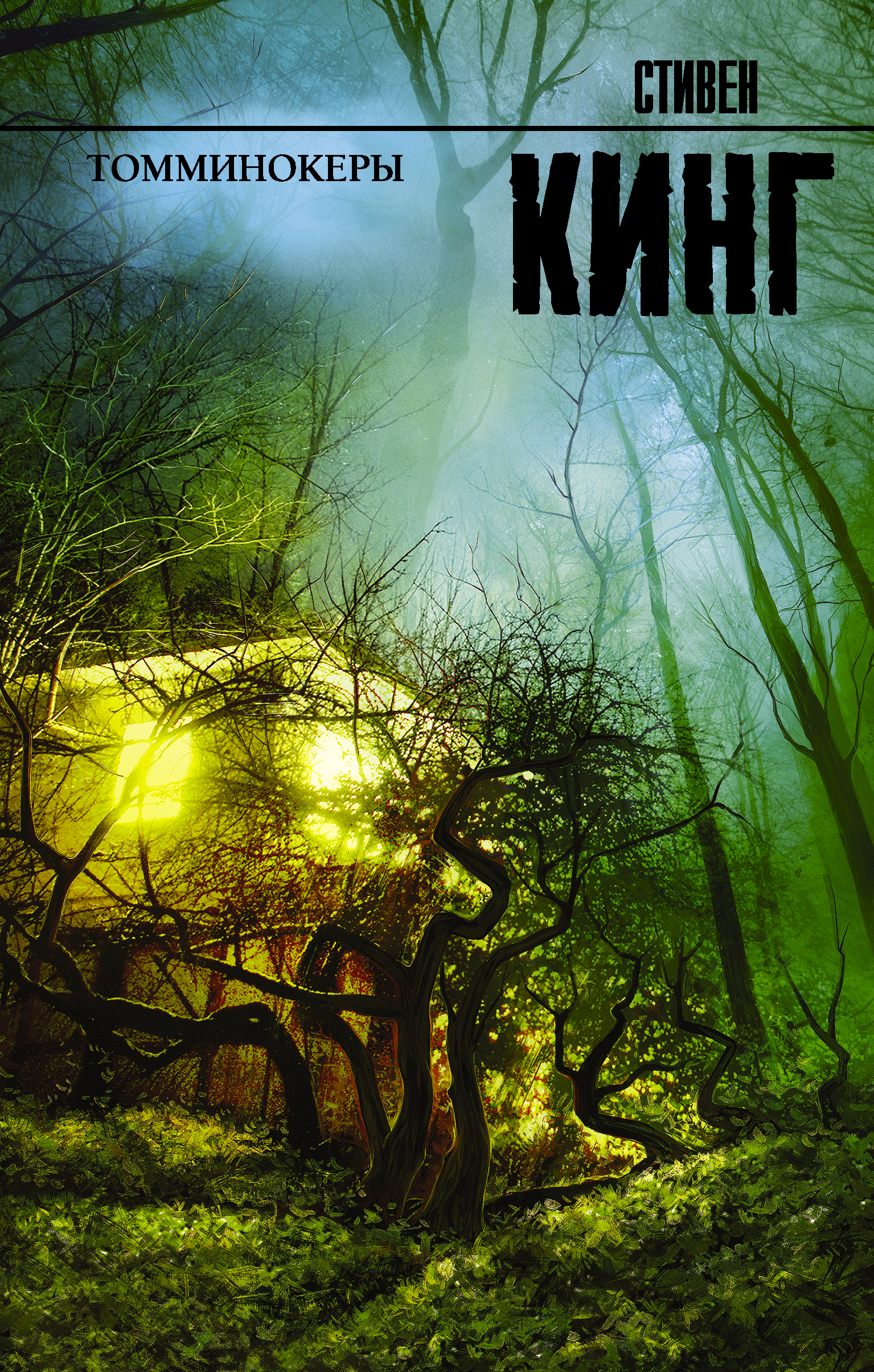 

Томминокеры