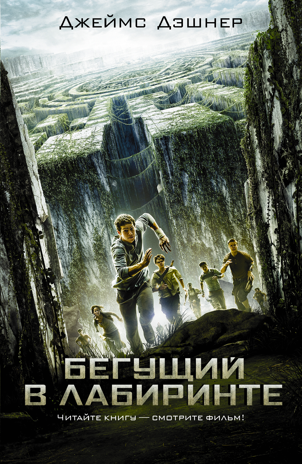 

Бегущий в Лабиринте