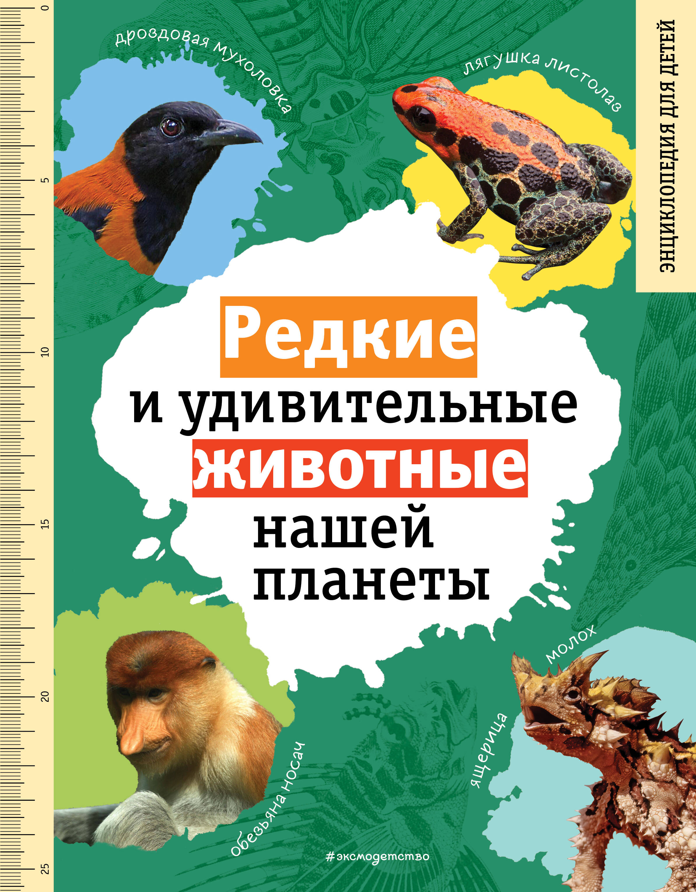 

Редкие и удивительные животные нашей планеты. Энциклопедия для детей