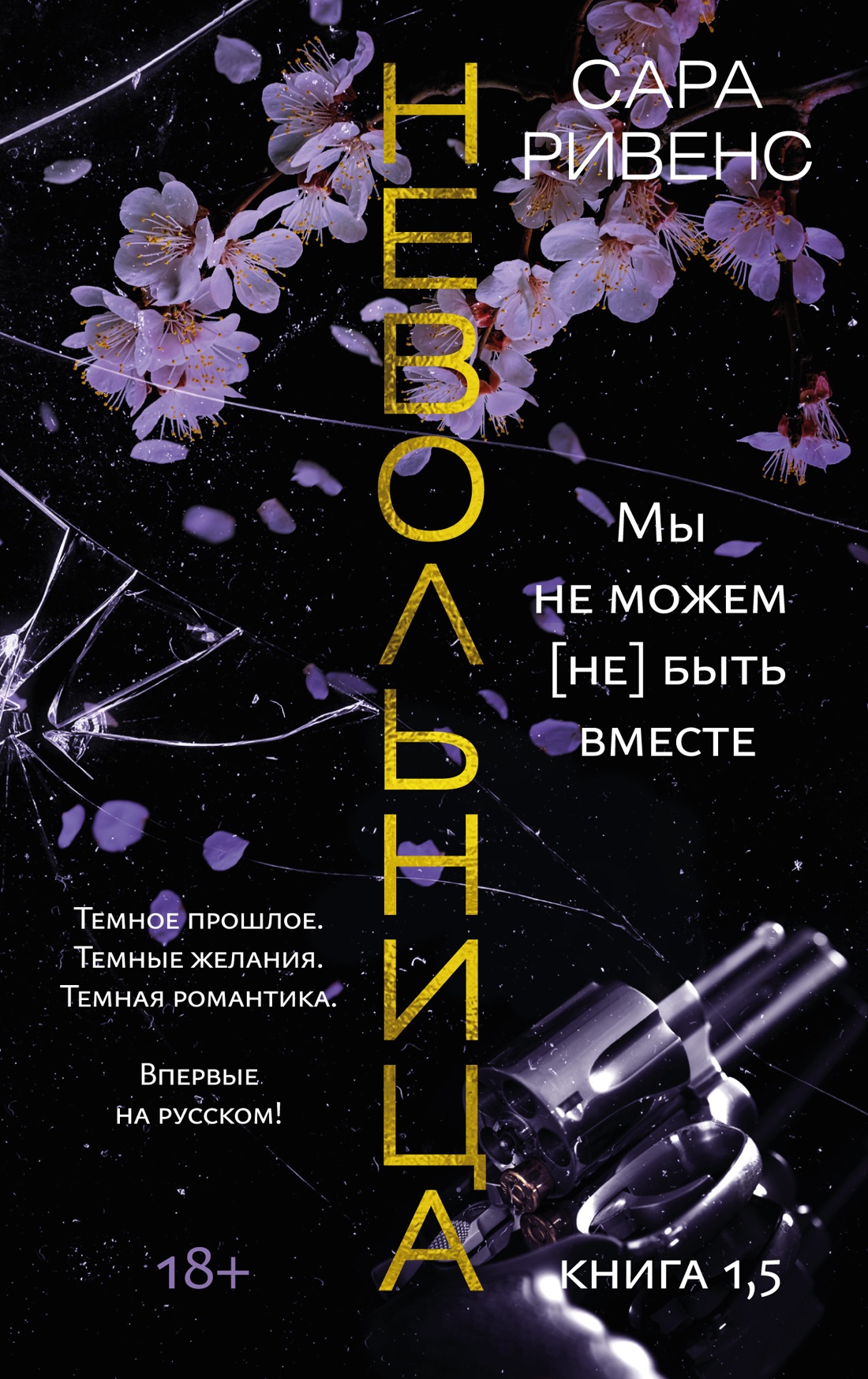 

Невольница. Книга 1,5. Мы не можем (не) быть вместе