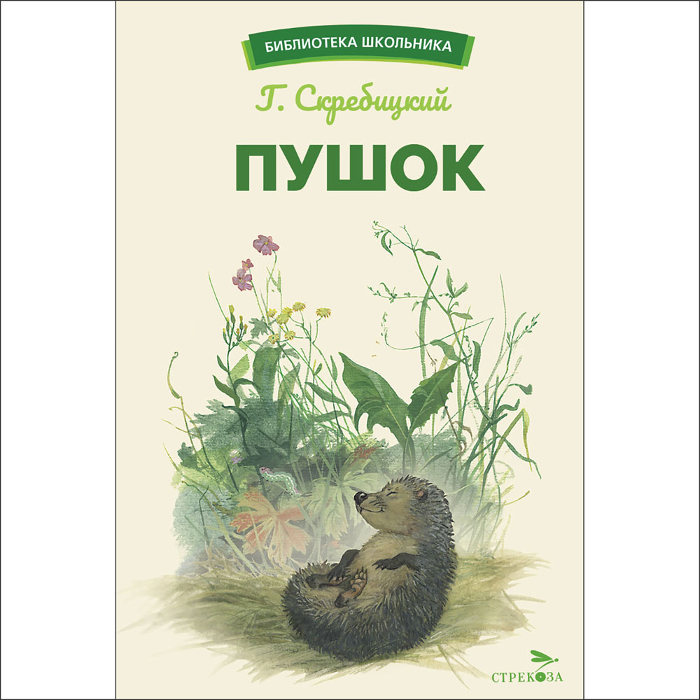 

Пушок