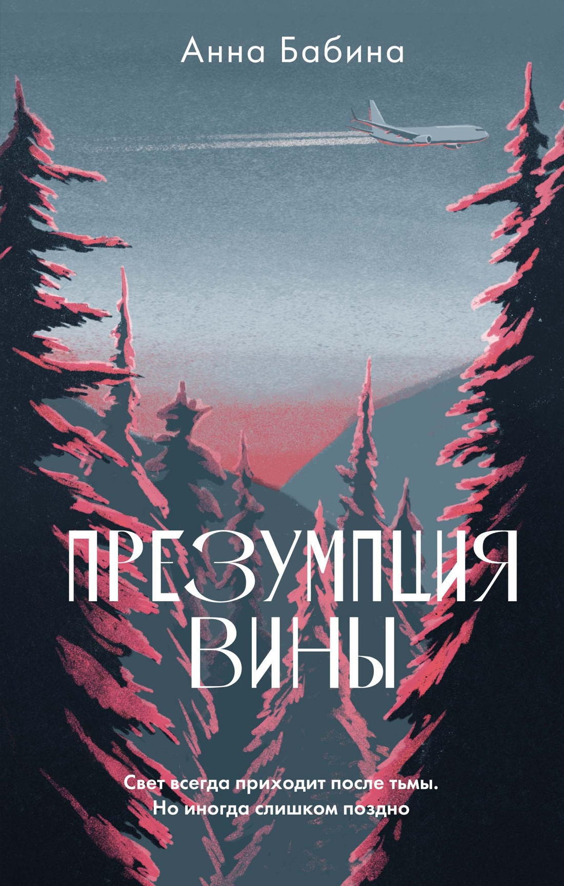 

Презумпция вины