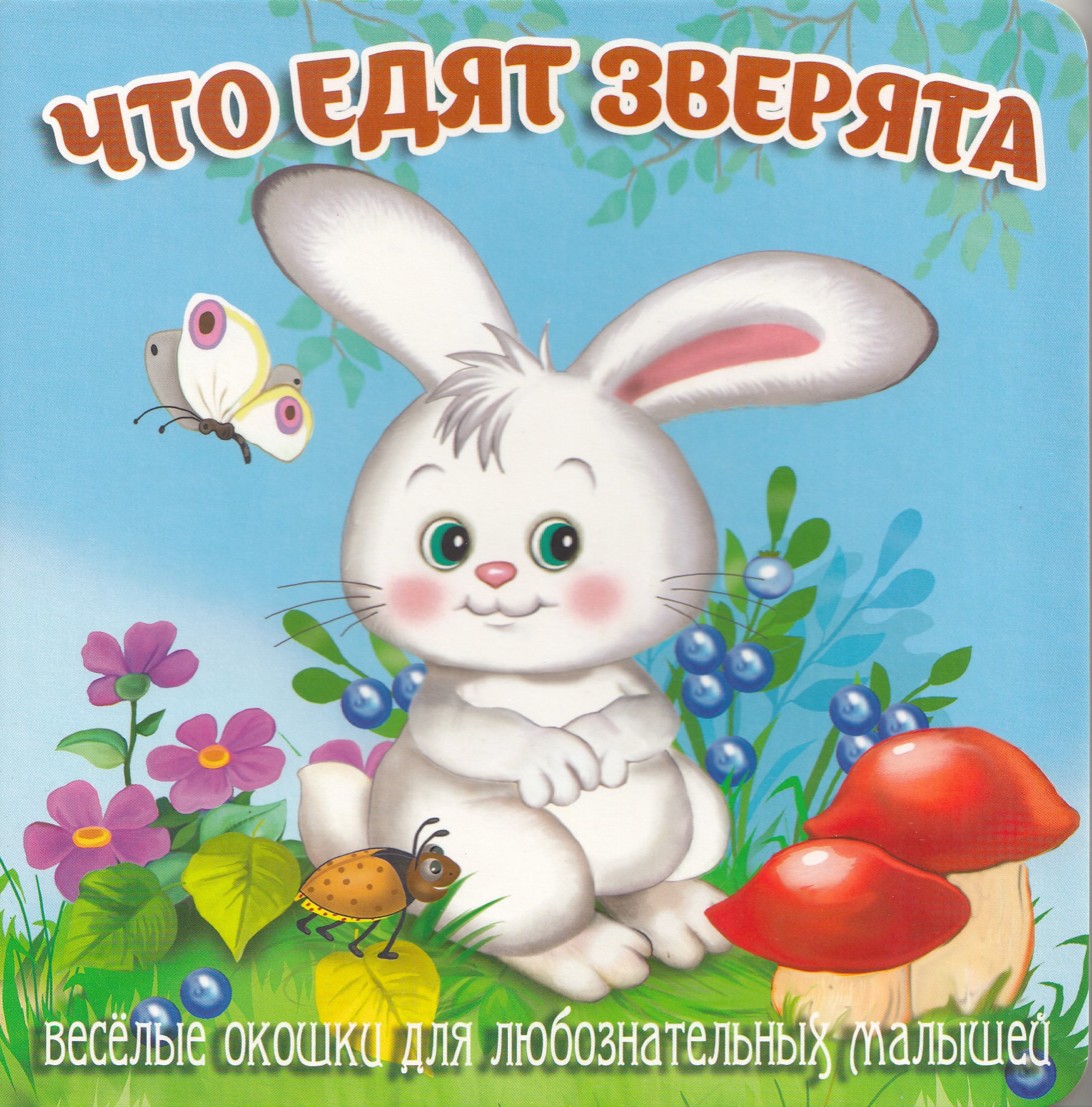 

Загляни в окошко. Что едят зверята