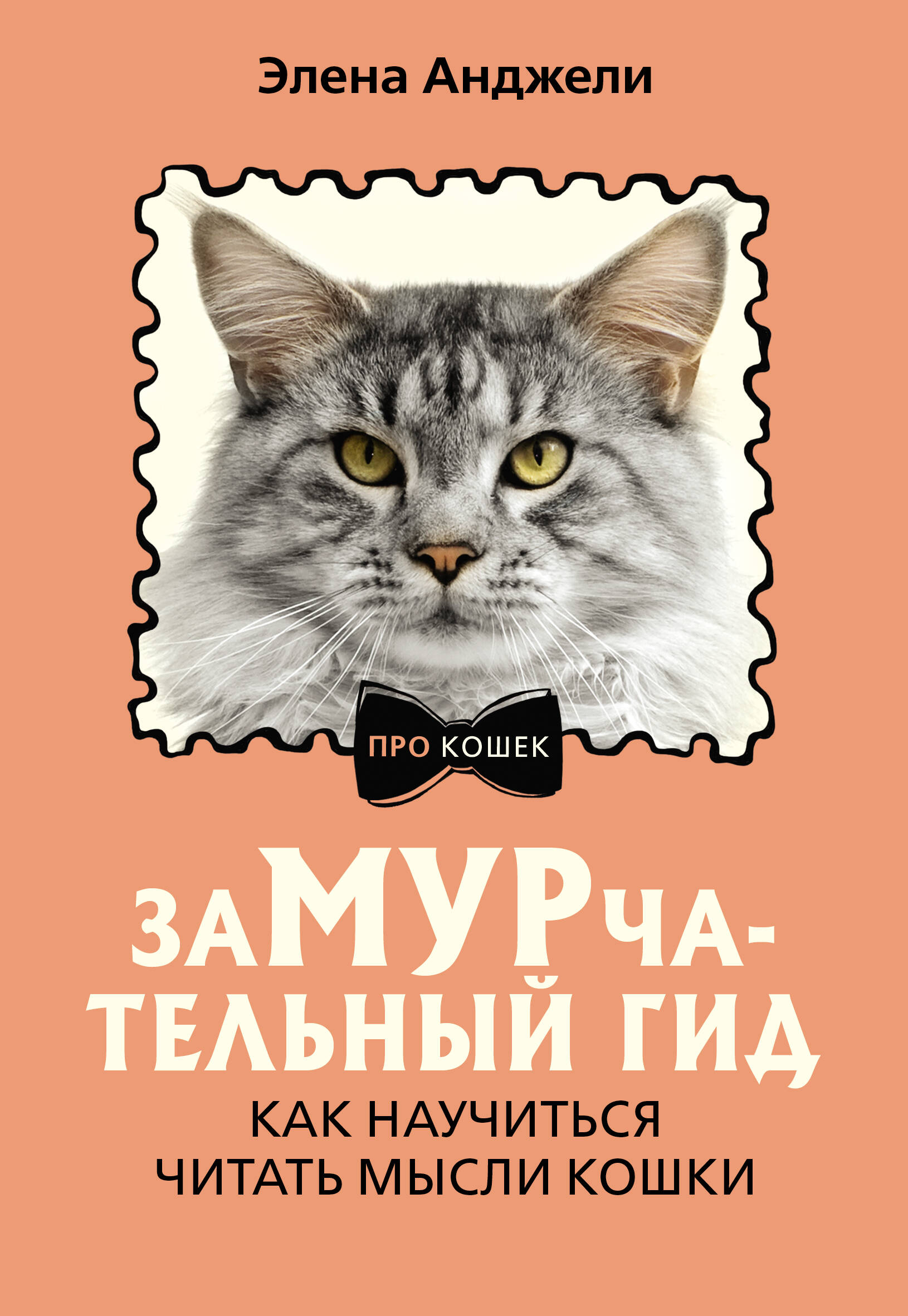

ЗаМУРчательный гид. Как научиться читать мысли кошки