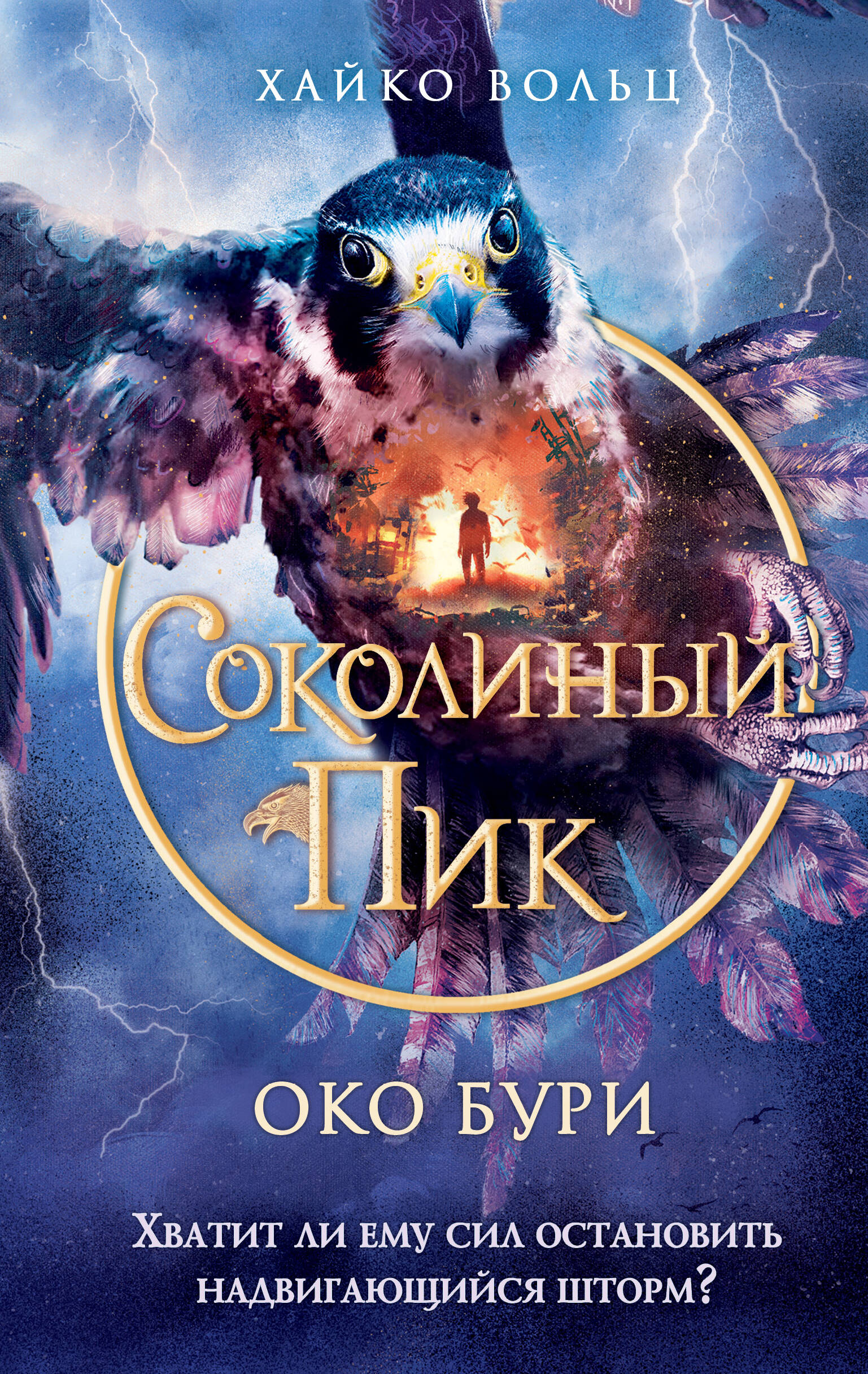 

Соколиный пик. Око бури